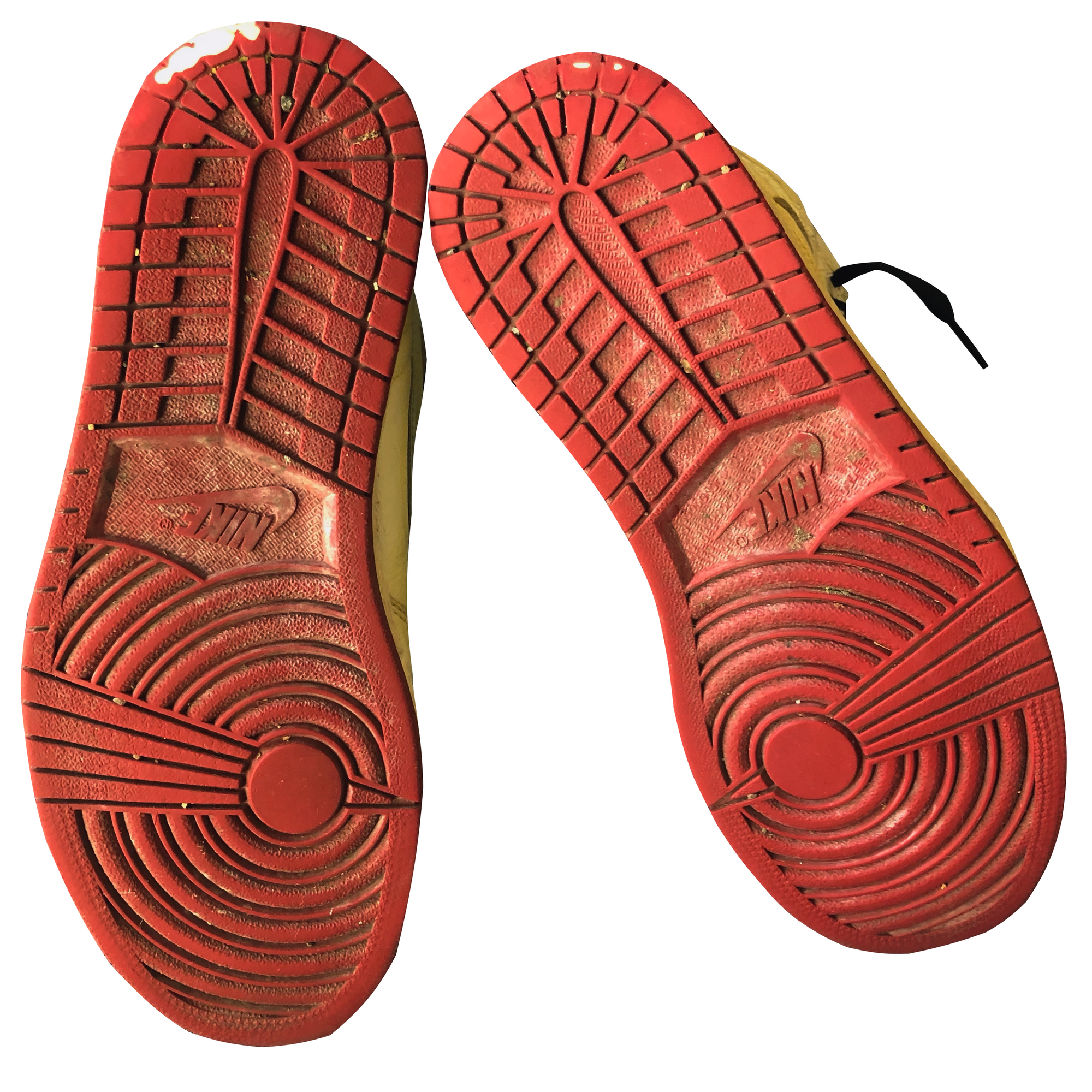 Nike Jordan 1s x Nigel Sylvester