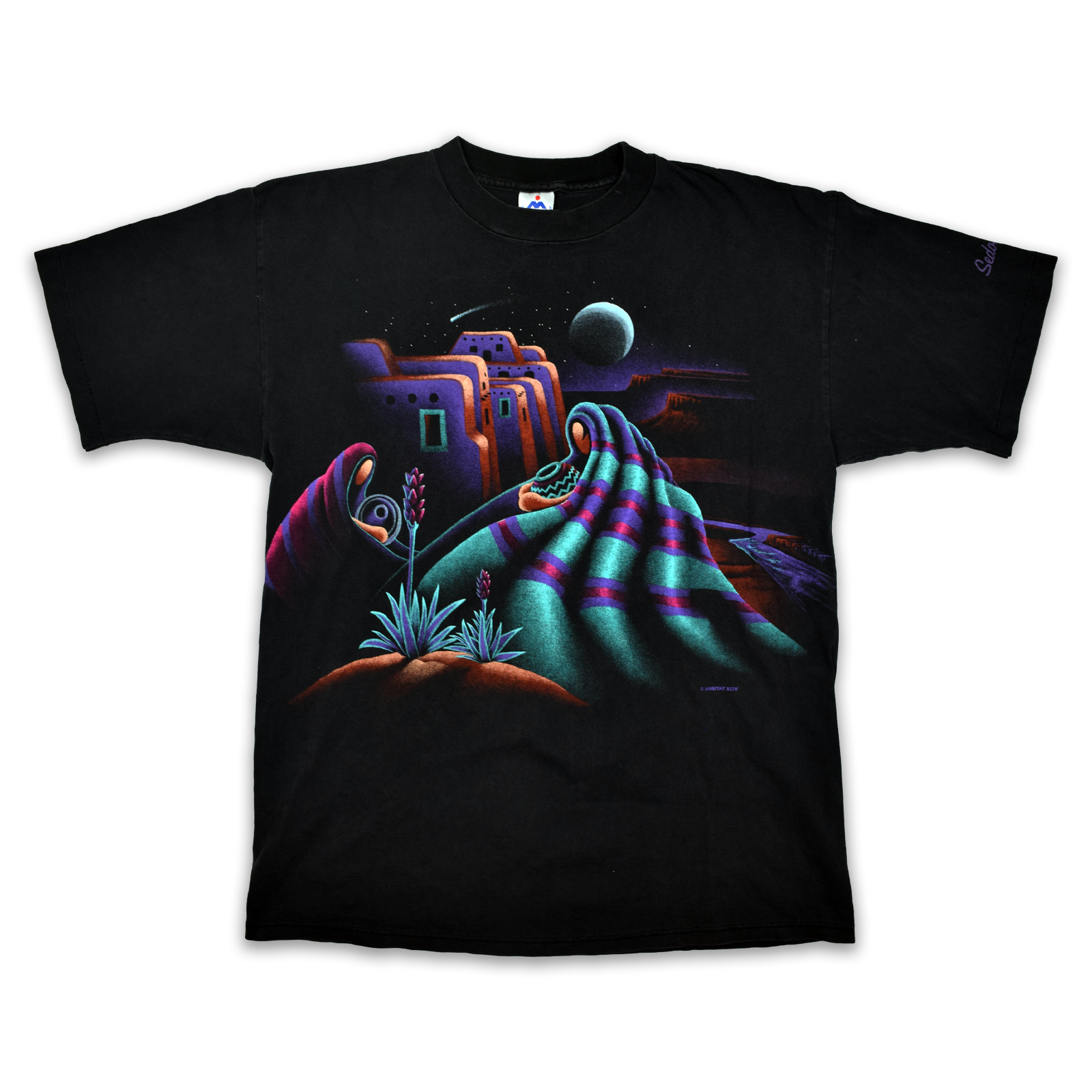 Vintage 1994 Arizona Adobe Desert Scene AOP Tee