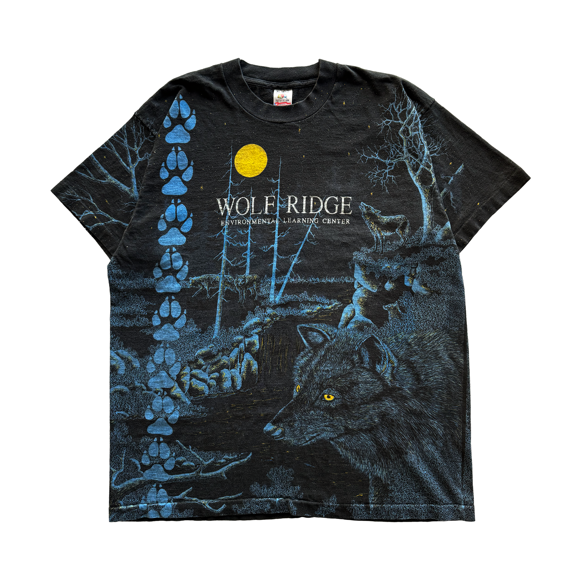 Vintage 1990s Wolf Ridge Environmental Learning Center AOP Tee