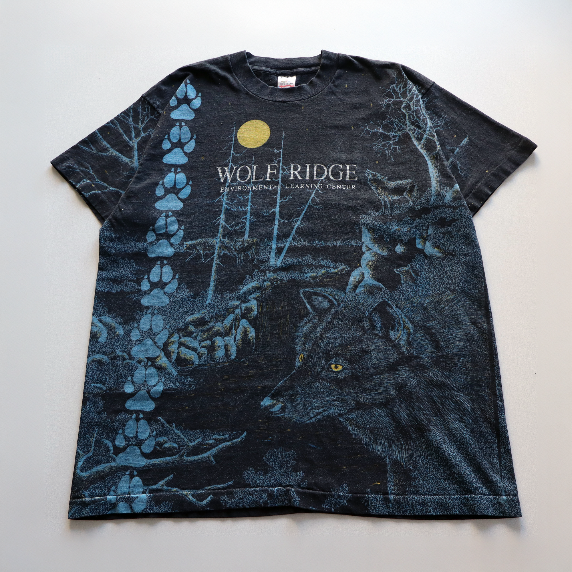 Vintage 1990s Wolf Ridge Environmental Learning Center AOP Tee