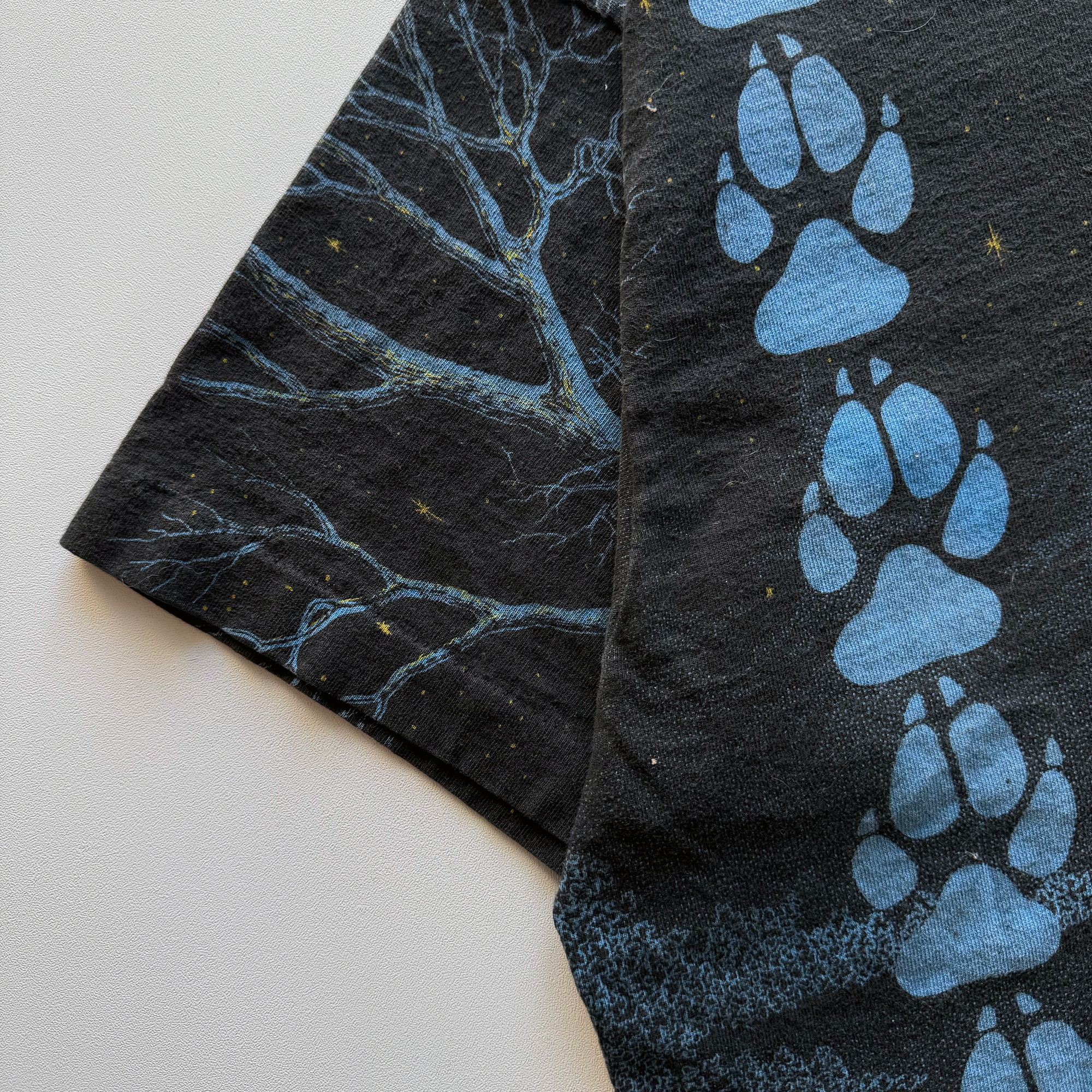 Vintage 1990s Wolf Ridge Environmental Learning Center AOP Tee