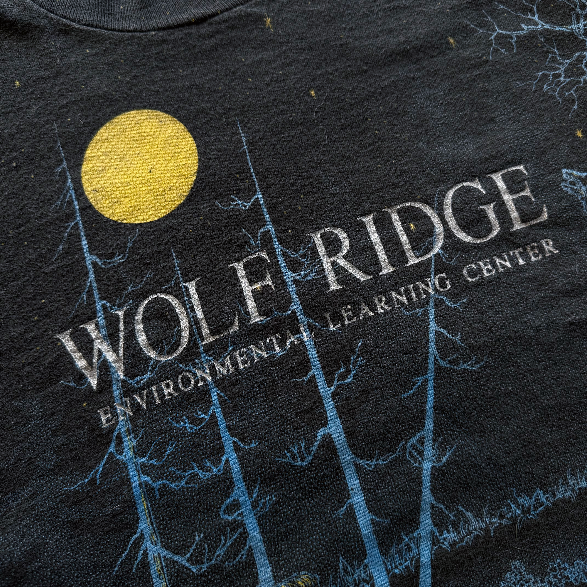 Vintage 1990s Wolf Ridge Environmental Learning Center AOP Tee
