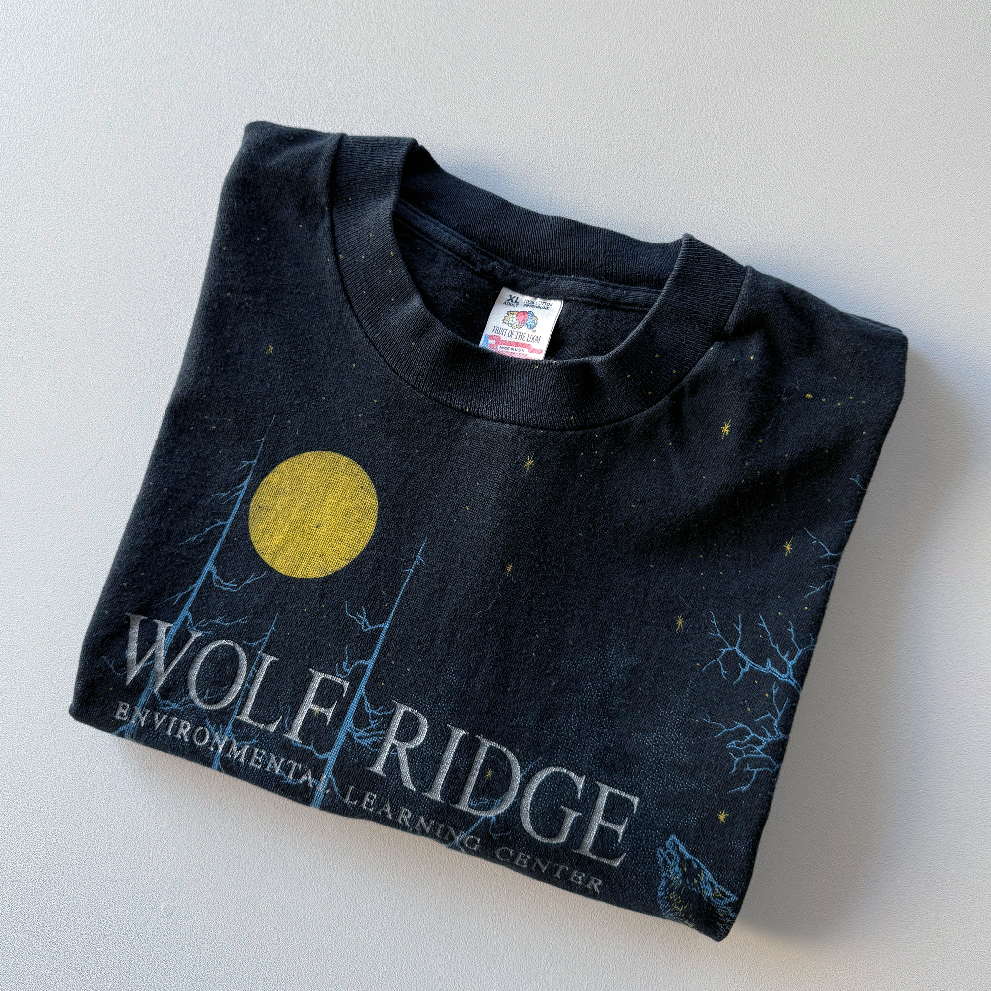 Vintage 1990s Wolf Ridge Environmental Learning Center AOP Tee