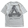 Palace x Arcteryx FW20 Tri Ferg Tee