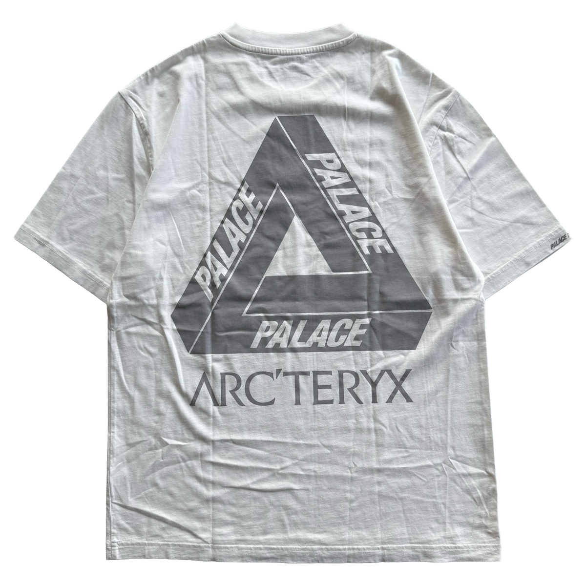 Palace x Arcteryx FW20 Tri Ferg Tee
