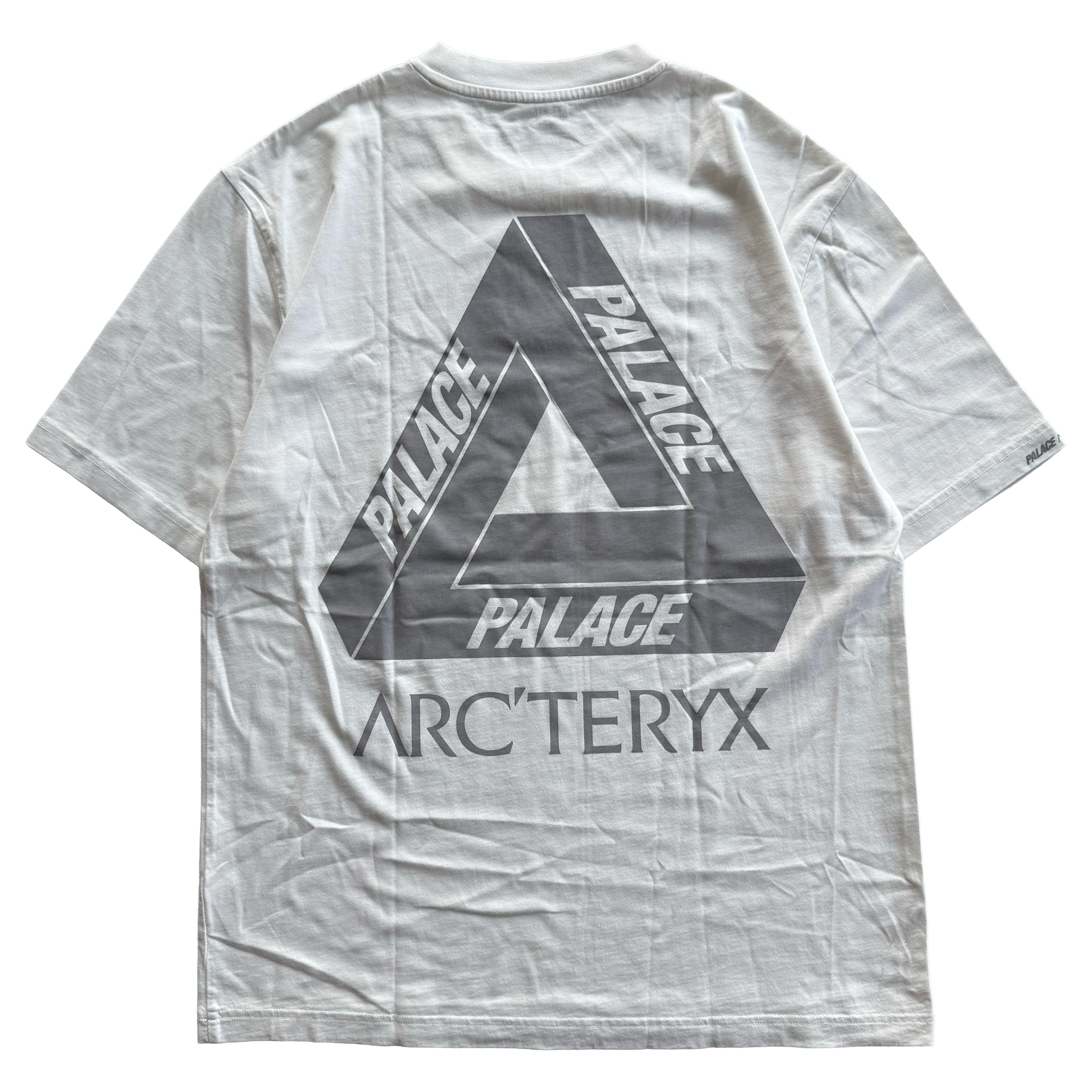 Palace x Arcteryx FW20 Tri Ferg Tee