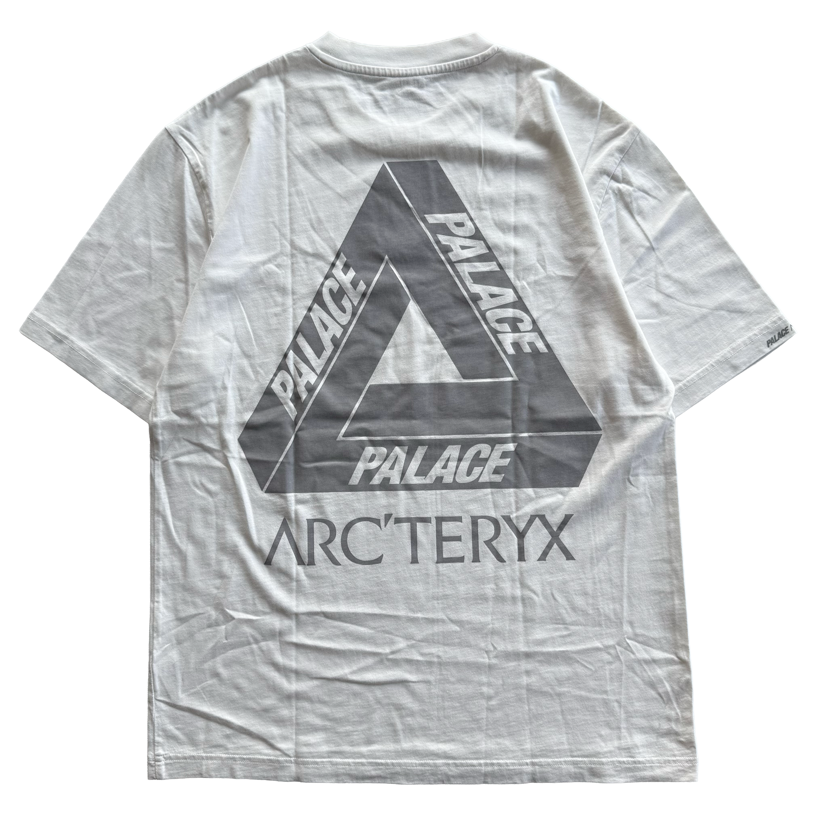 Palace x Arcteryx FW20 Tri Ferg Tee