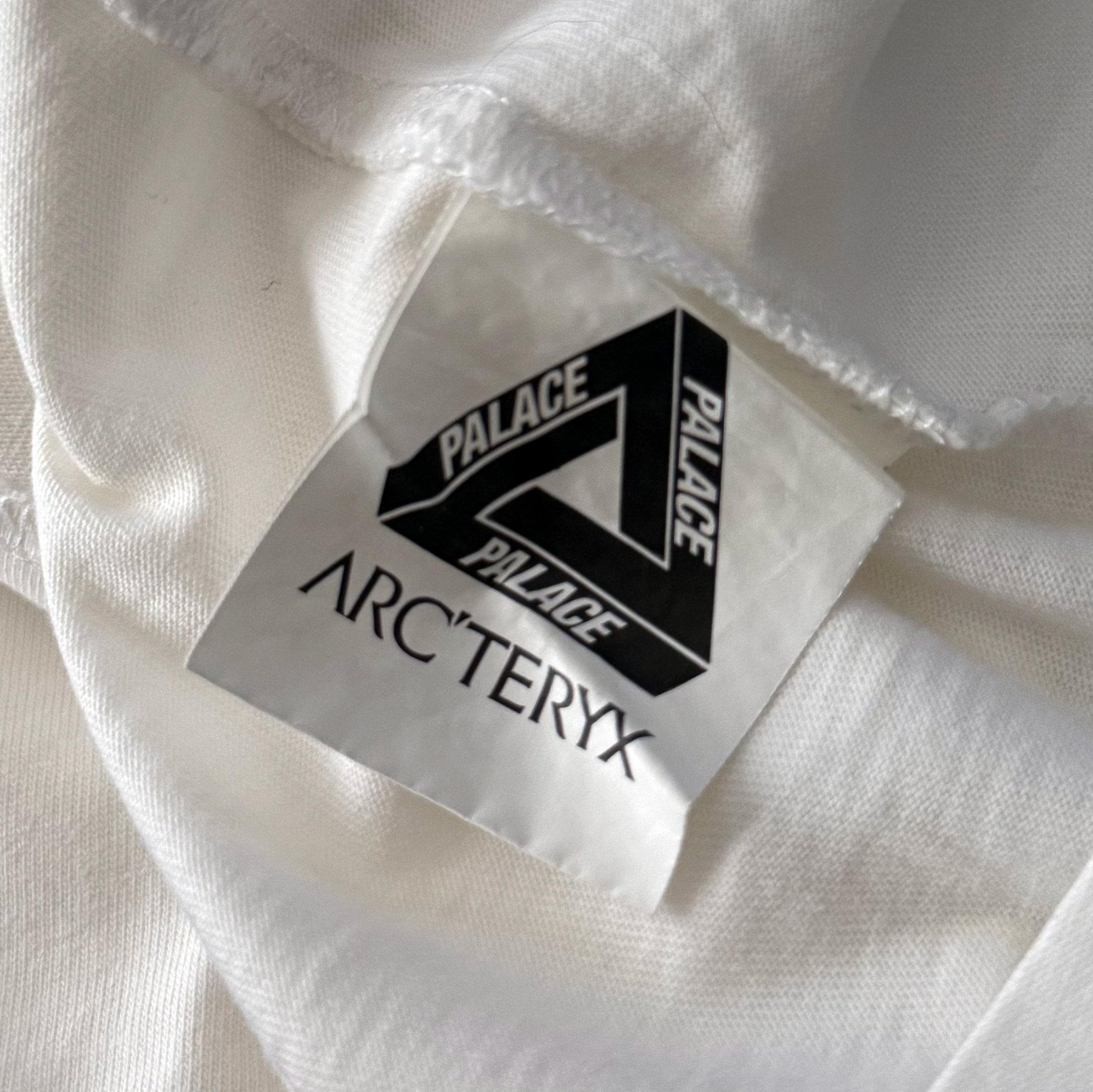 Palace x Arcteryx FW20 Tri Ferg Tee