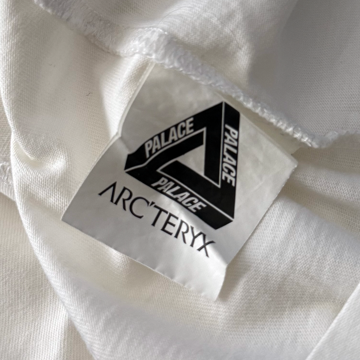Palace x Arcteryx FW20 Tri Ferg Tee