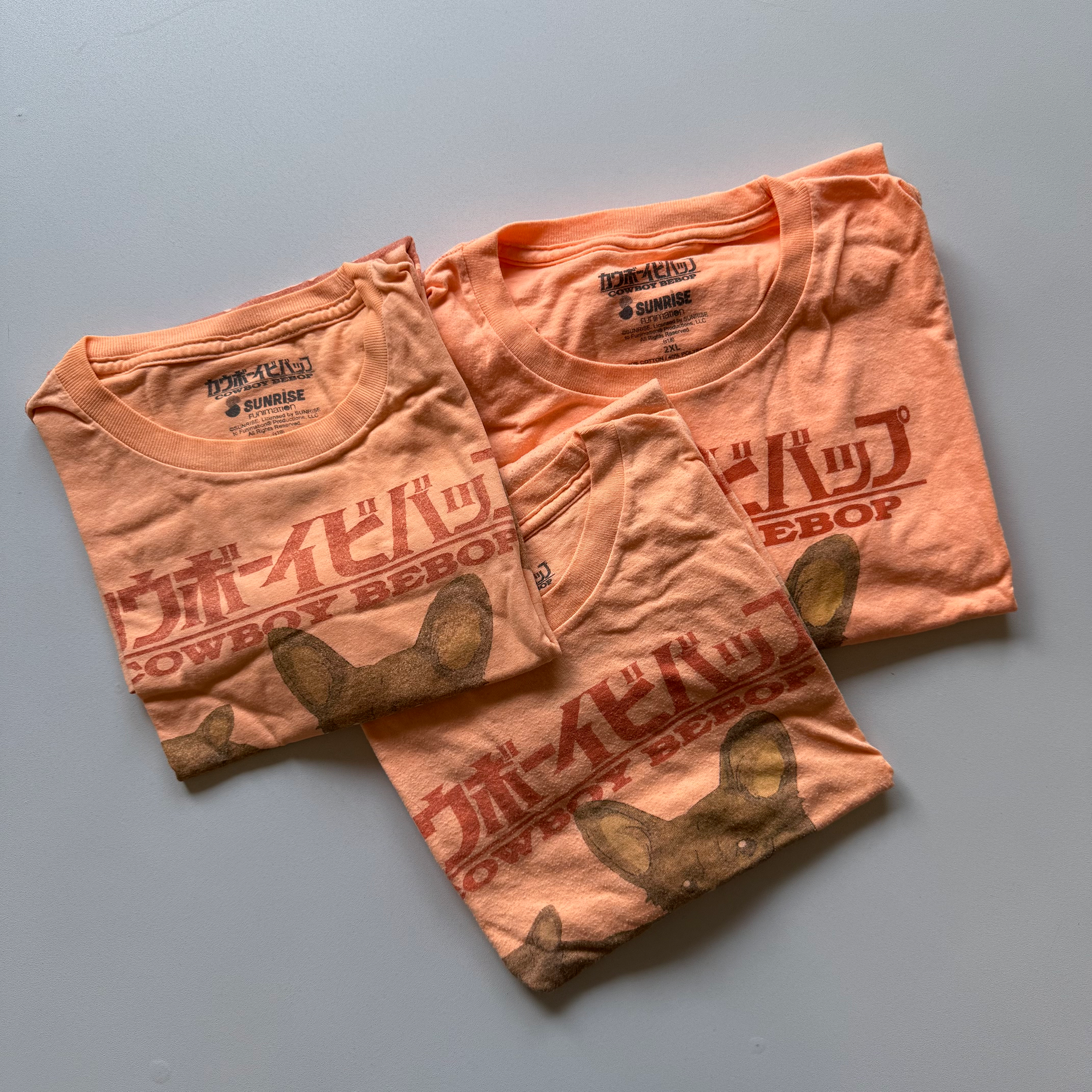 Vintage 2010s Cowboy Bebop Ein Corgi Sunrise Funimation Tee (Medium)