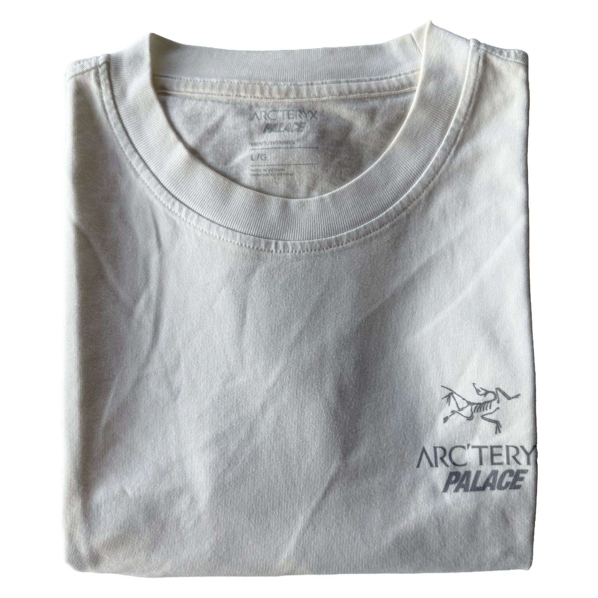 Palace x Arcteryx FW20 Tri Ferg Tee
