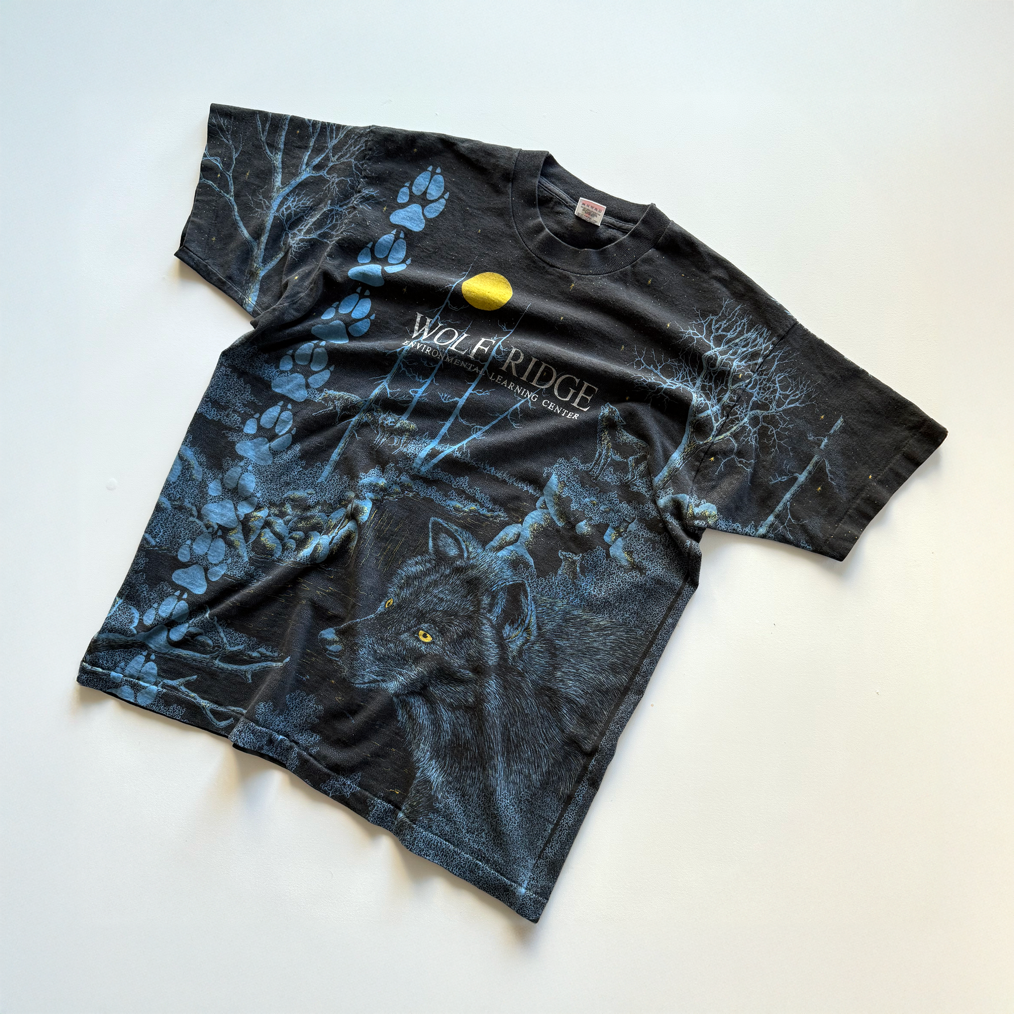 Vintage 1990s Wolf Ridge Environmental Learning Center AOP Tee