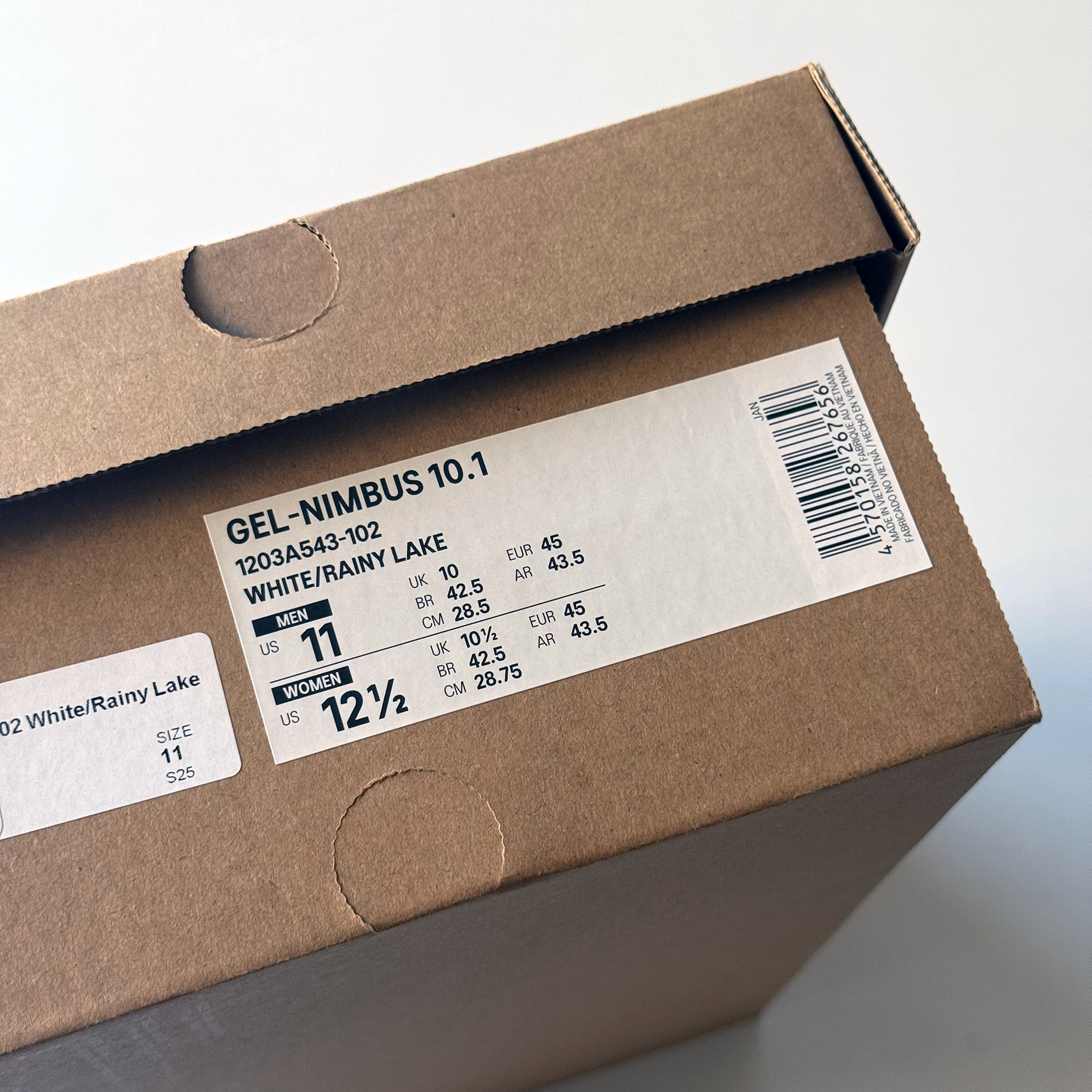 Asics Gel Nimbus 10.1 "Rainy Lake" Sneakers (Size 11)