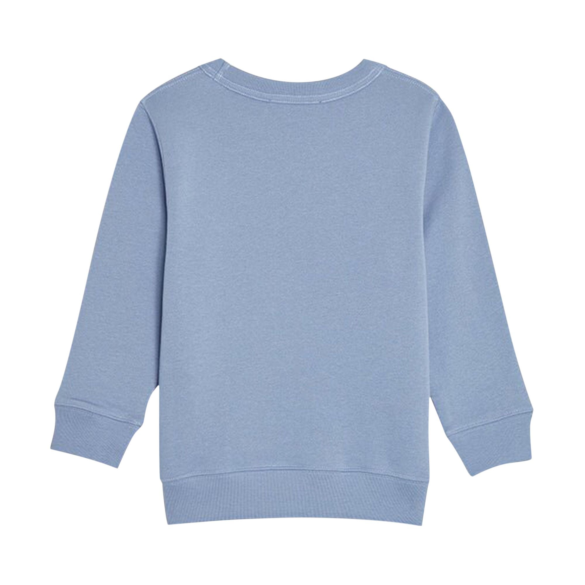 Acne Studios Kids Crewneck Sweatshirt (YOUTH SIZE)