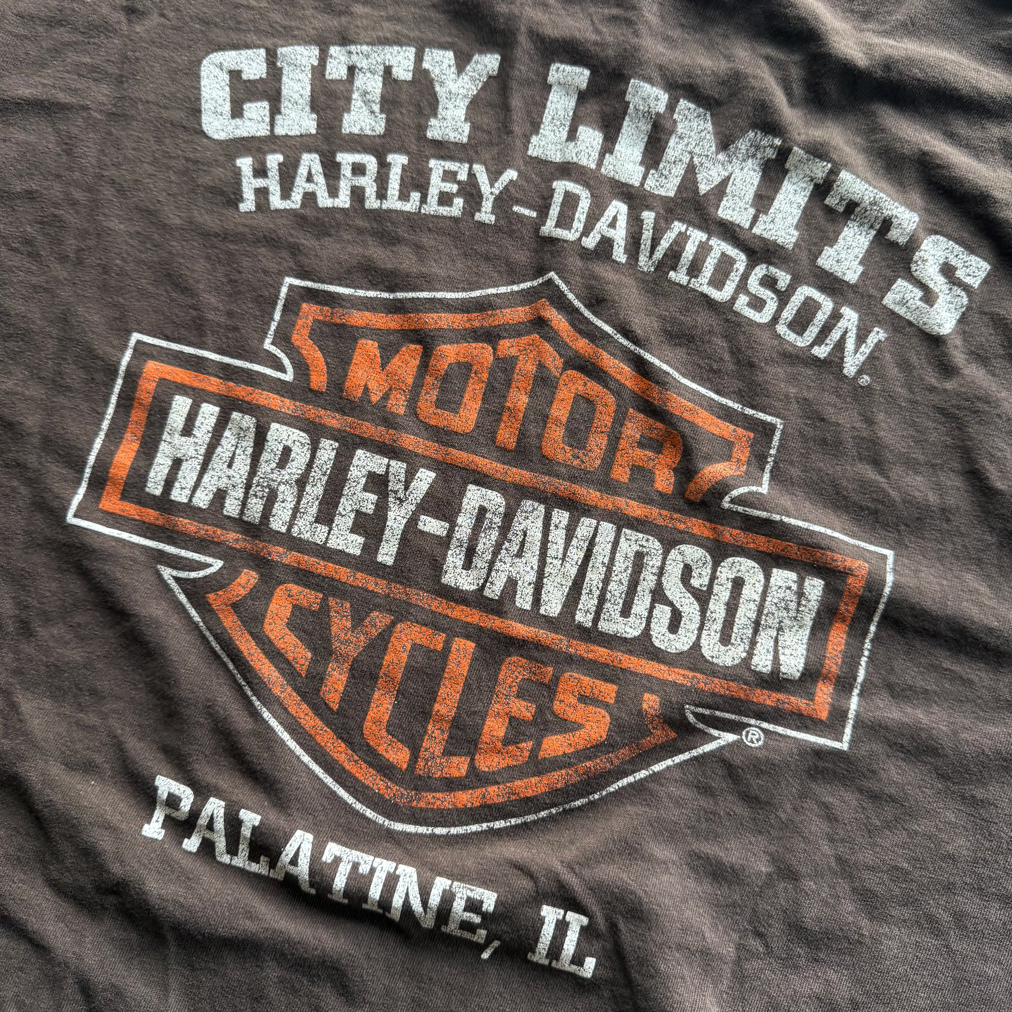 Vintage Harley Davidson 2000s Y2K Eagle L/S Tee