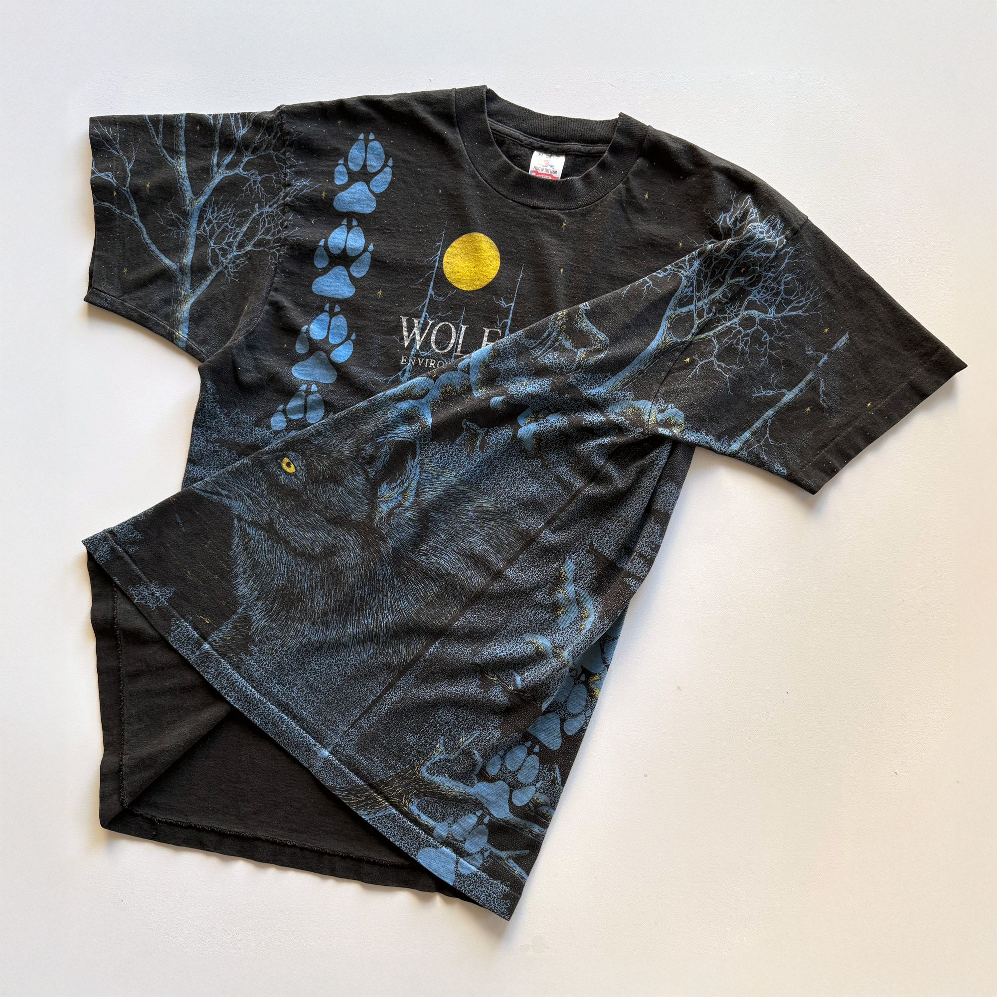 Vintage 1990s Wolf Ridge Environmental Learning Center AOP Tee