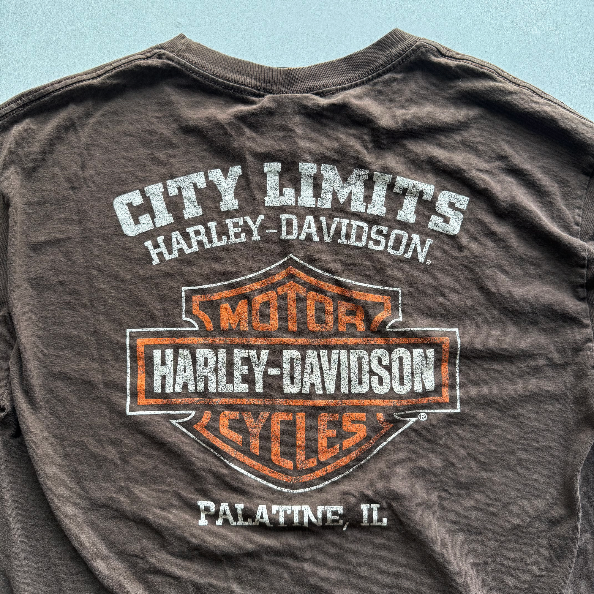 Vintage Harley Davidson 2000s Y2K Eagle L/S Tee