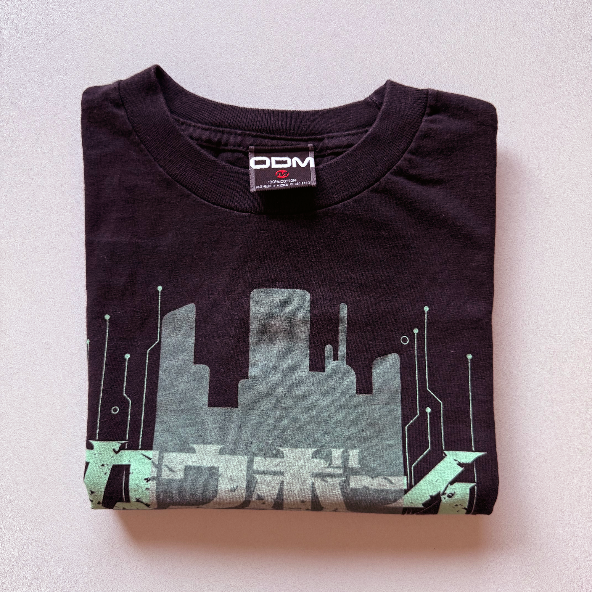 Vintage 2000 Cowboy Bebop Faye ODM Grail Tee (THRASHED)