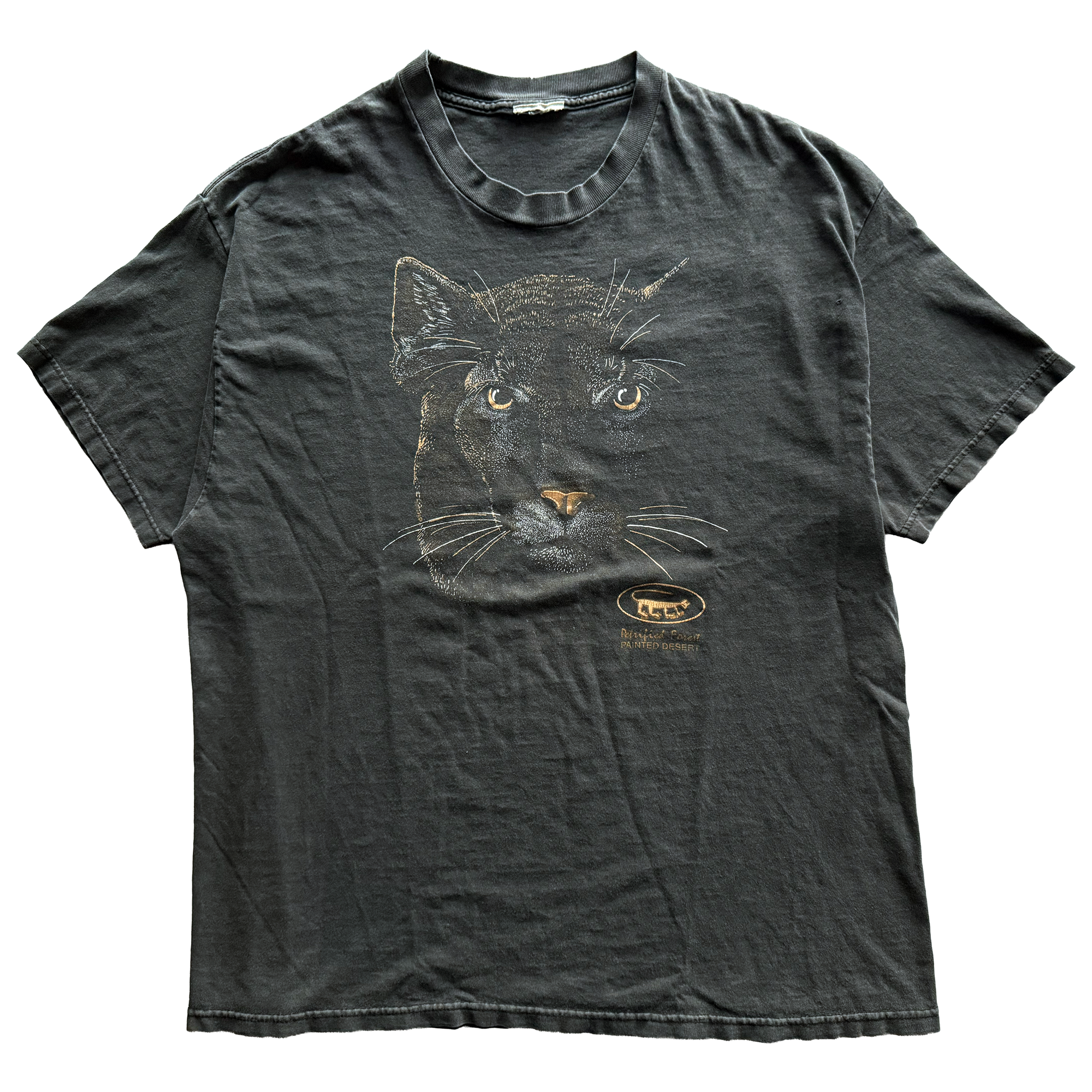 Vintage 1990s Petrified Forest National Park Mountain Lion Tee
