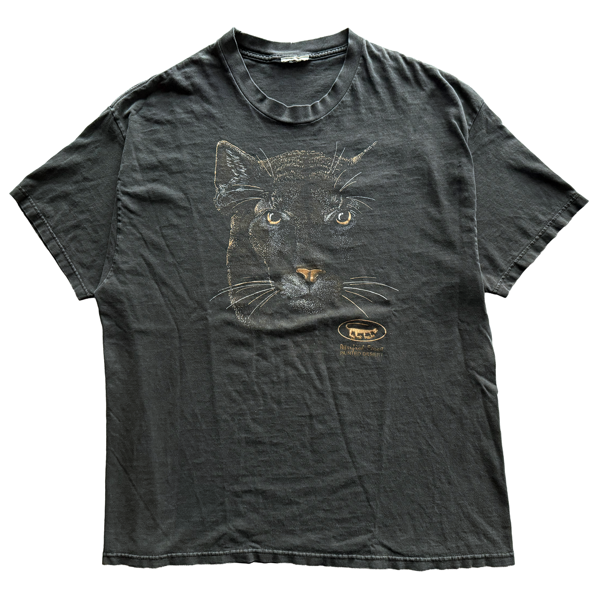Vintage 1990s Petrified Forest National Park Mountain Lion Tee