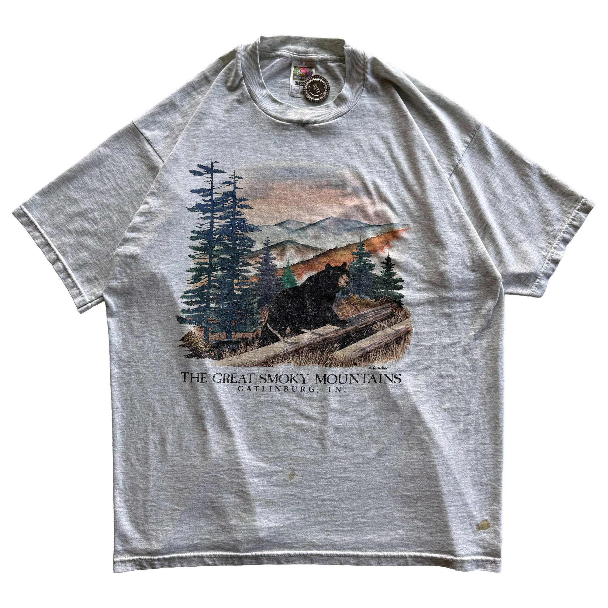Vintage 1998 Great Smoky Mountains Black Bear Nature Tee