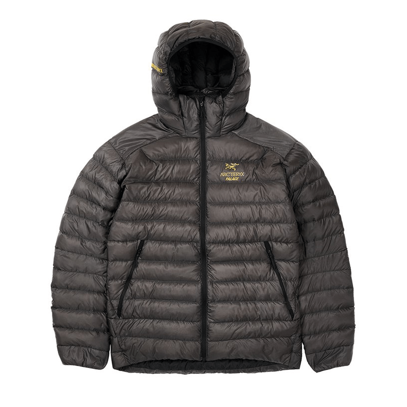 Arc'teryx × Palace Cerium LT Jacket