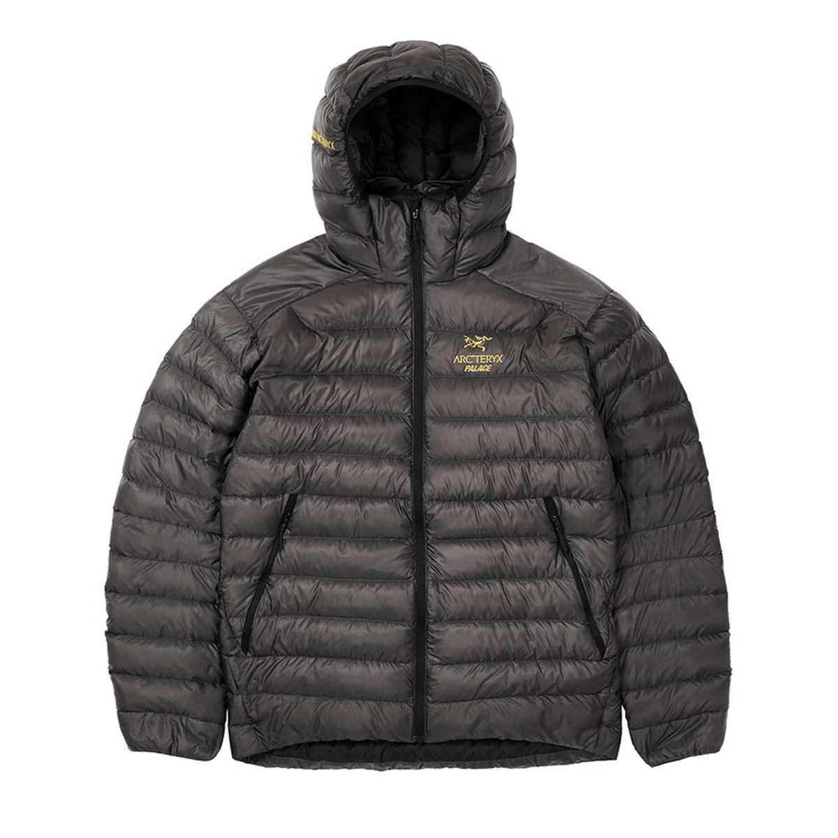 Arc'teryx × Palace Cerium LT Jacket