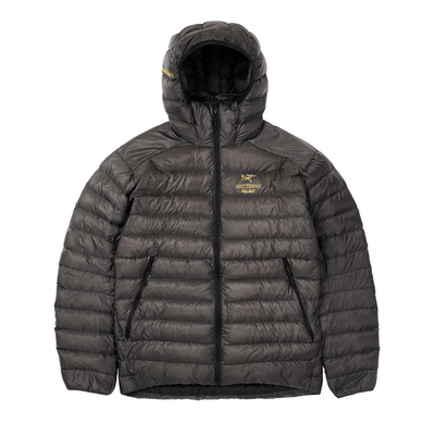 Arc'teryx × Palace Cerium LT Jacket