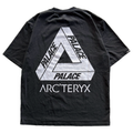 Palace x Arcteryx FW20 Tri Ferg Tee