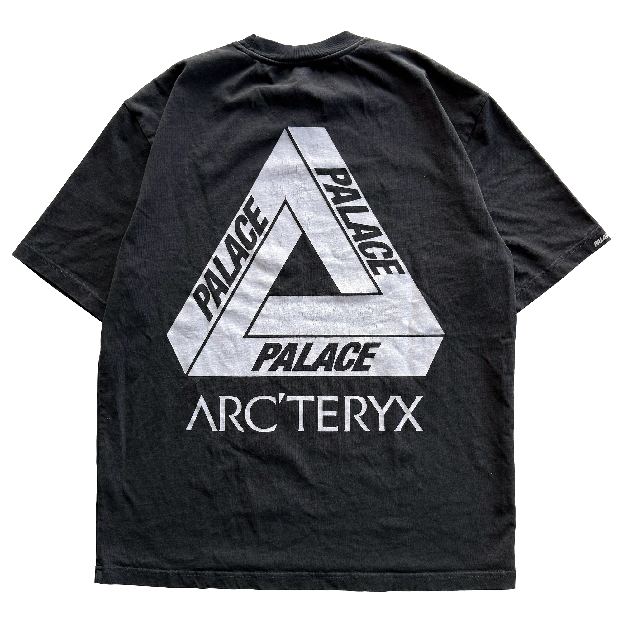 Palace x Arcteryx FW20 Tri Ferg Tee