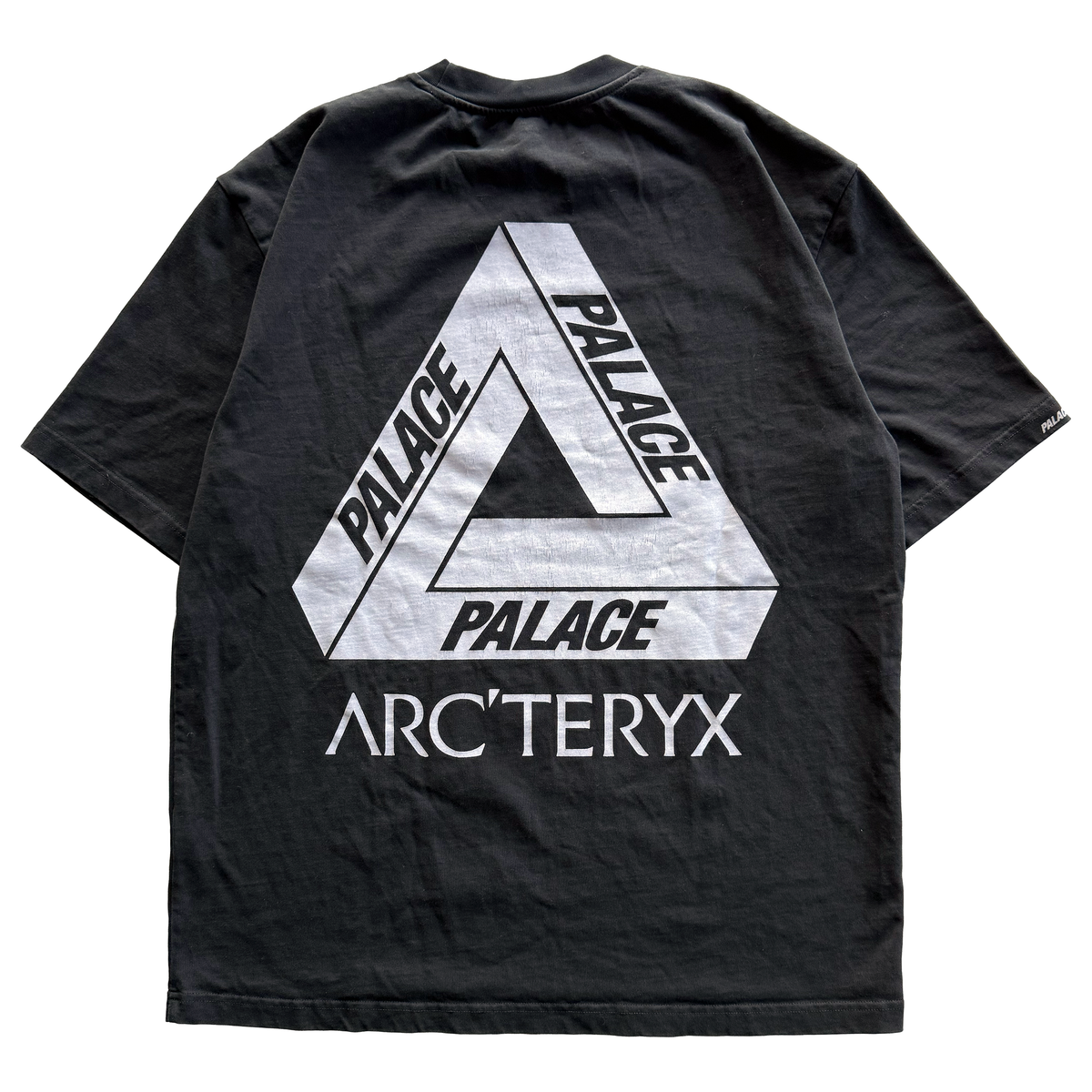 Palace x Arcteryx FW20 Tri Ferg Tee