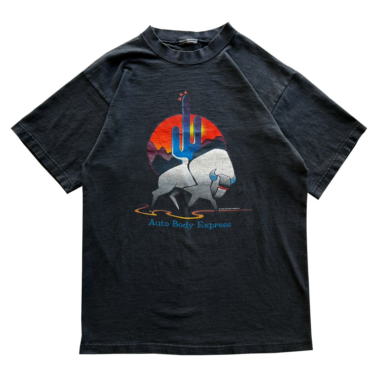 Vintage 1994 Vintage Auto Body Express Buffalo Cactus Tee