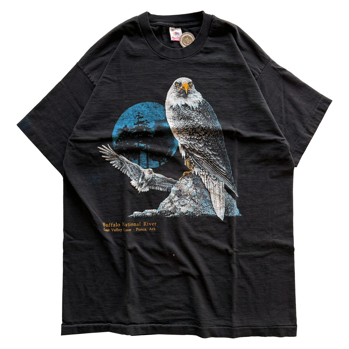 Vintage 1990s Bald Eagle Arkansas Nature Souvenir Tee