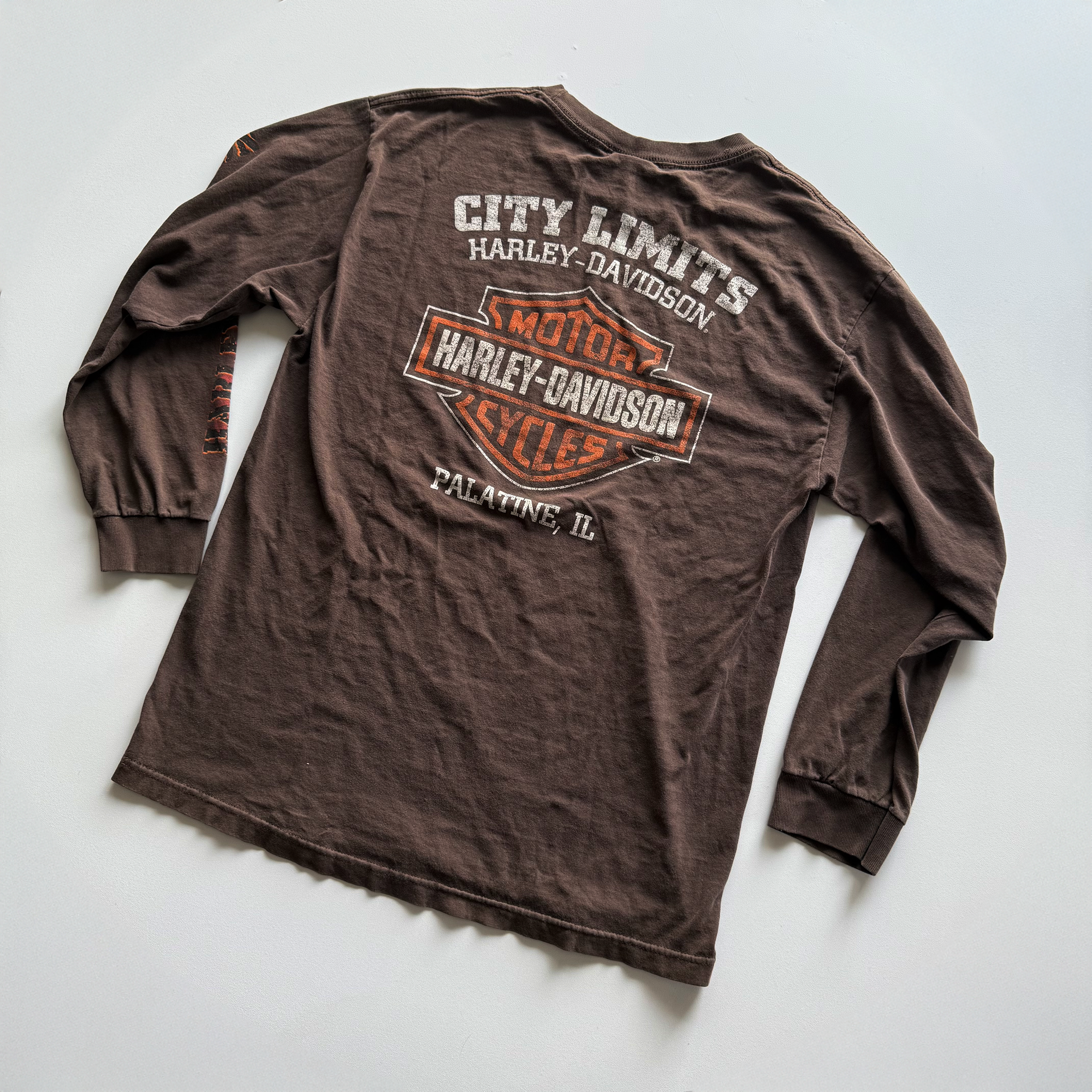 Vintage Harley Davidson 2000s Y2K Eagle L/S Tee