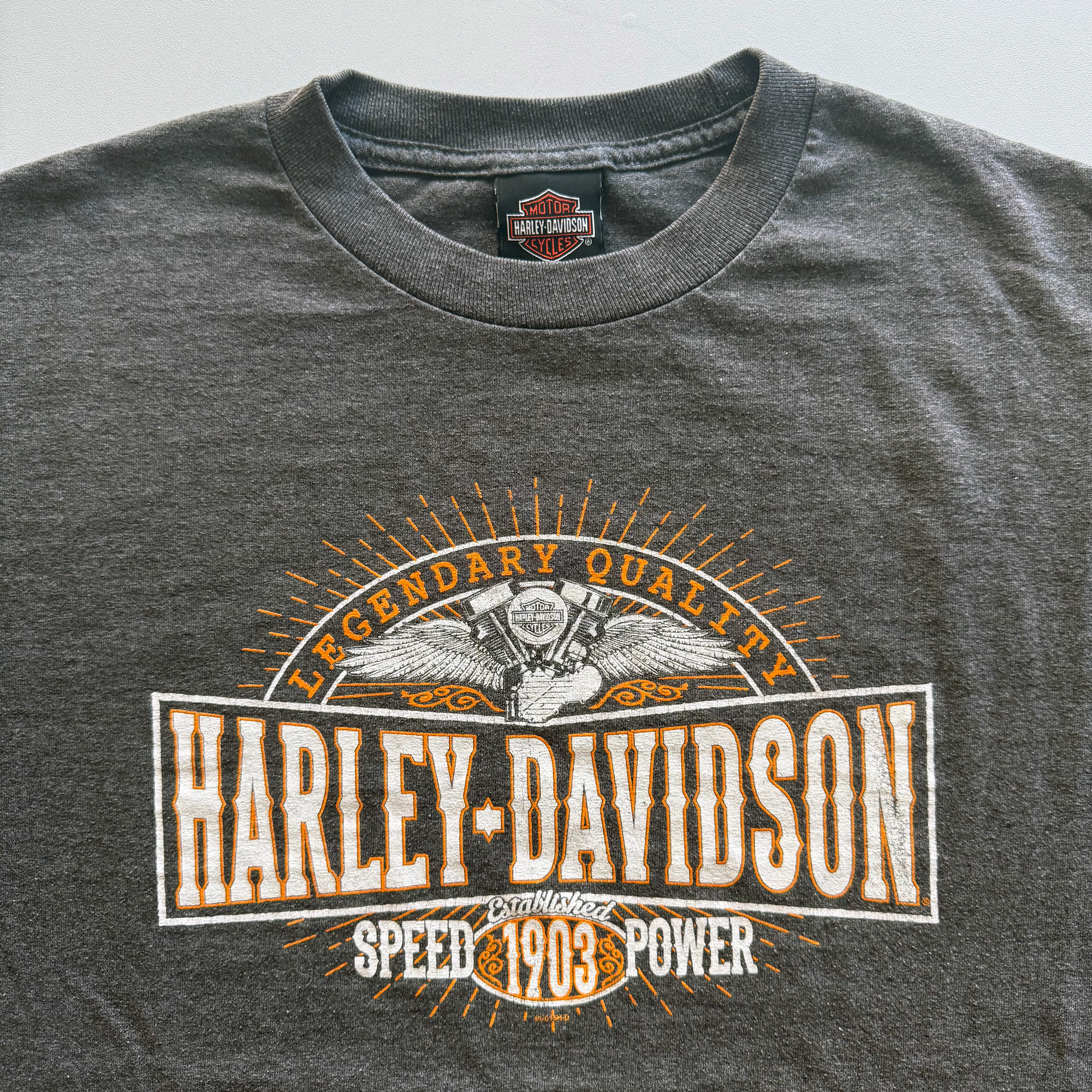 Vintage Harley Davidson 2015 Angel Wings Tee