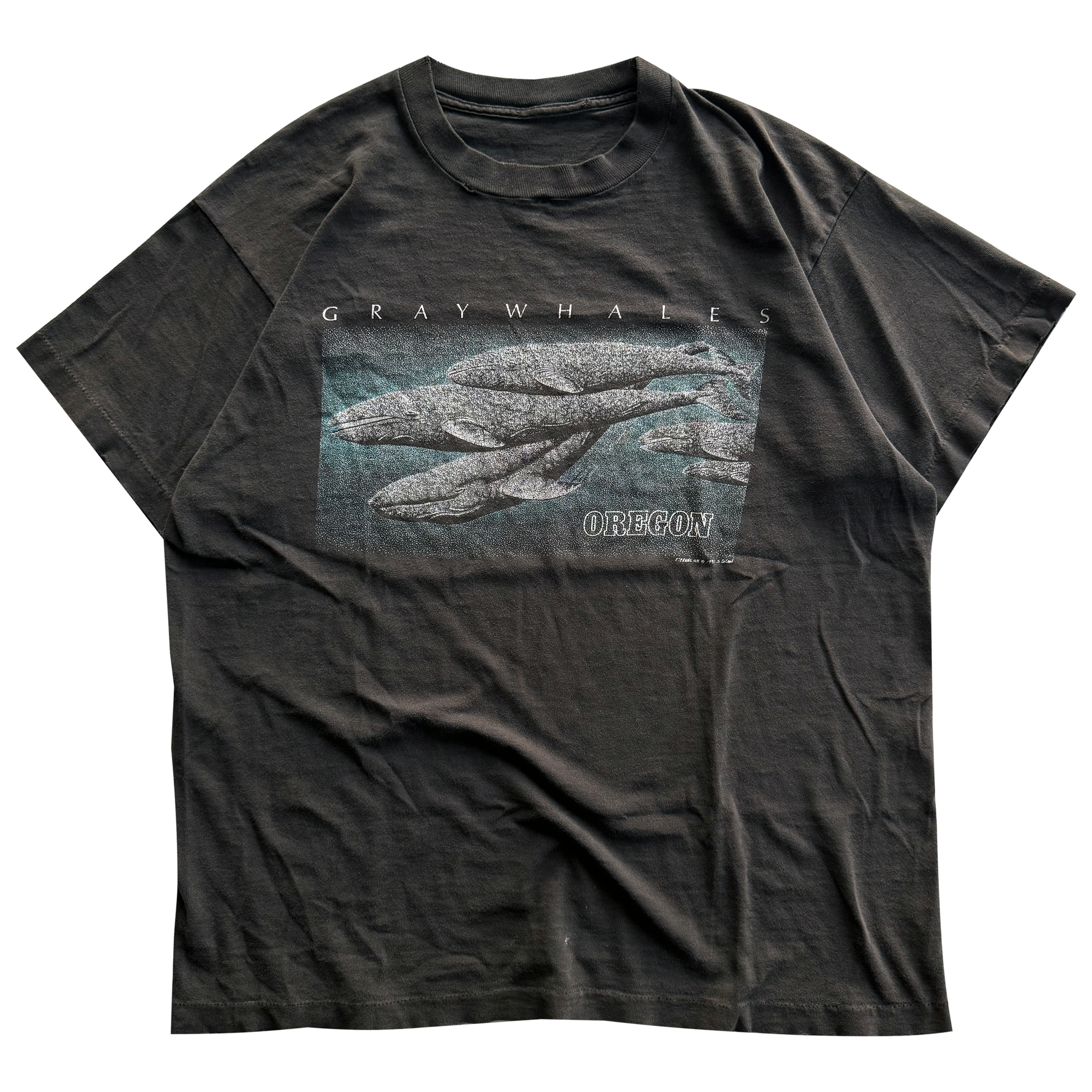 Vintage 1991 Gray Whales Oregon Coast Tee