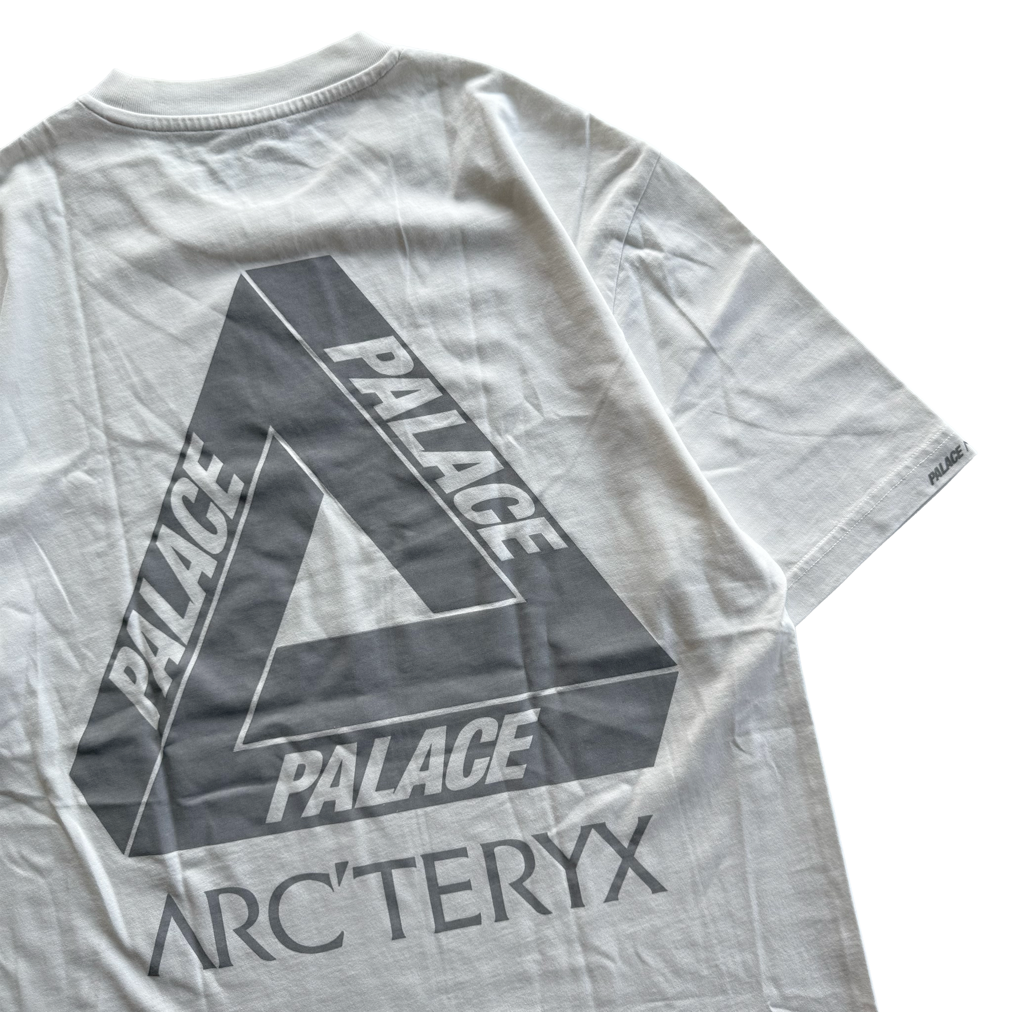 Palace x Arcteryx FW20 Tri Ferg Tee