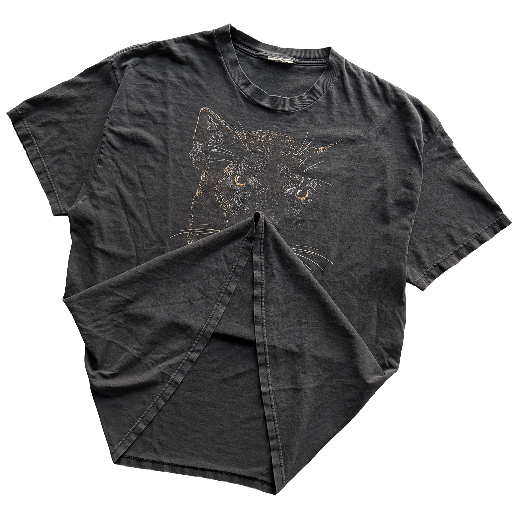 Vintage 1990s Petrified Forest National Park Mountain Lion Tee