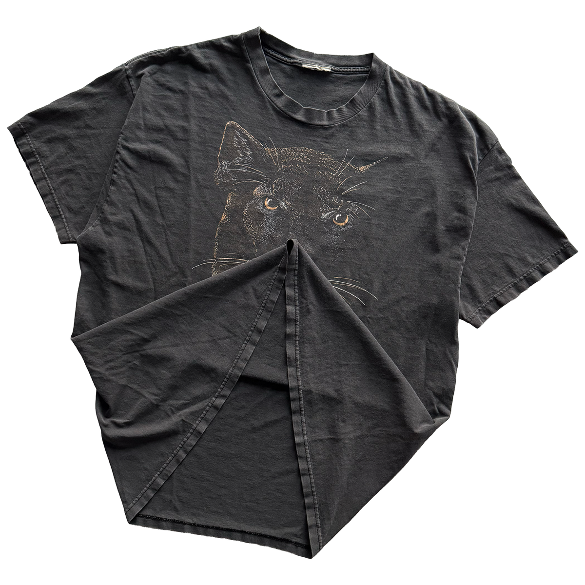 Vintage 1990s Petrified Forest National Park Mountain Lion Tee