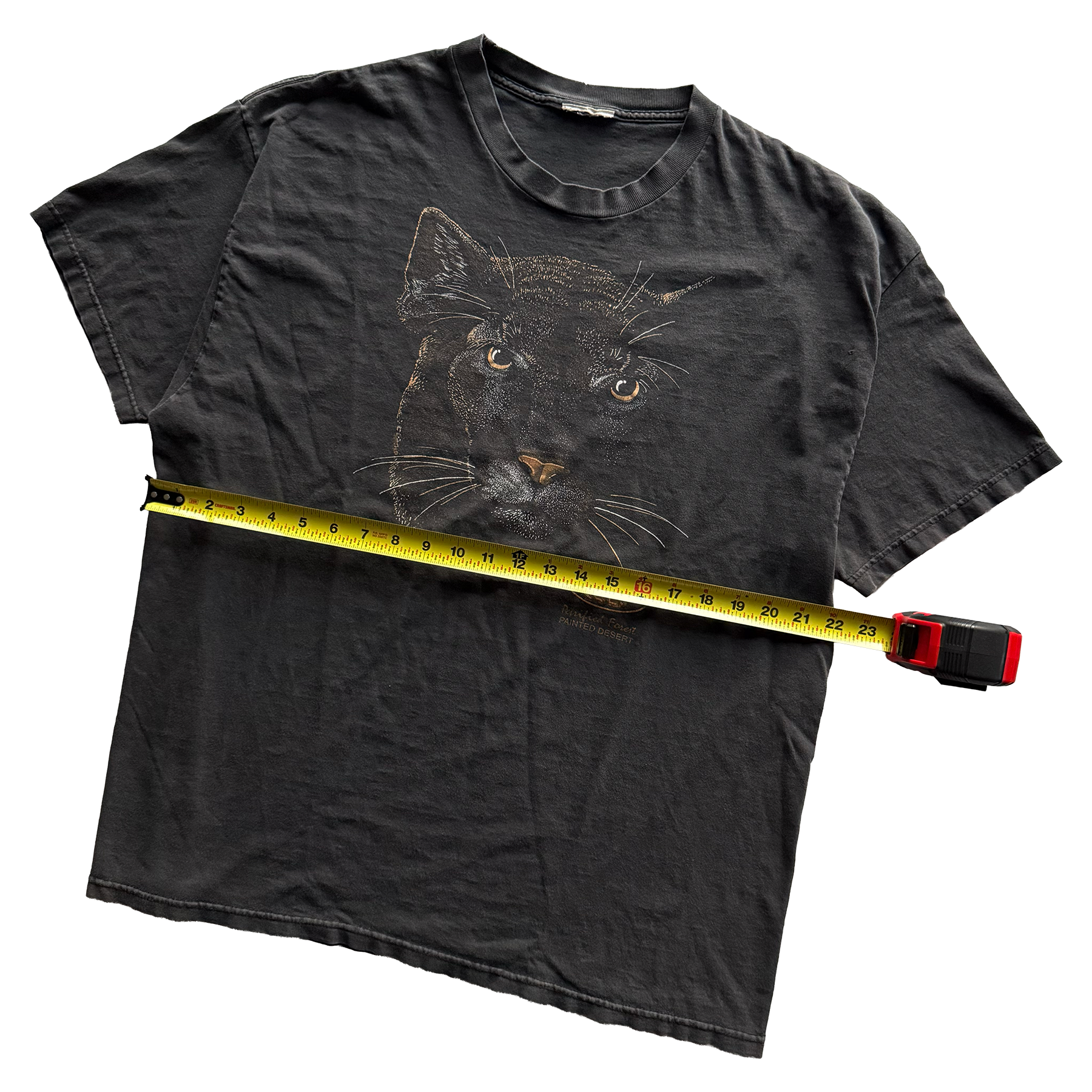 Vintage 1990s Petrified Forest National Park Mountain Lion Tee