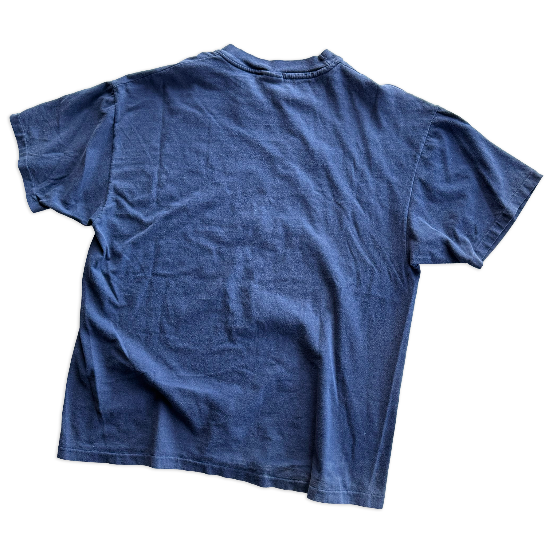 Vintage 1995 Summer Institute of Linguistics Chameleon Tee