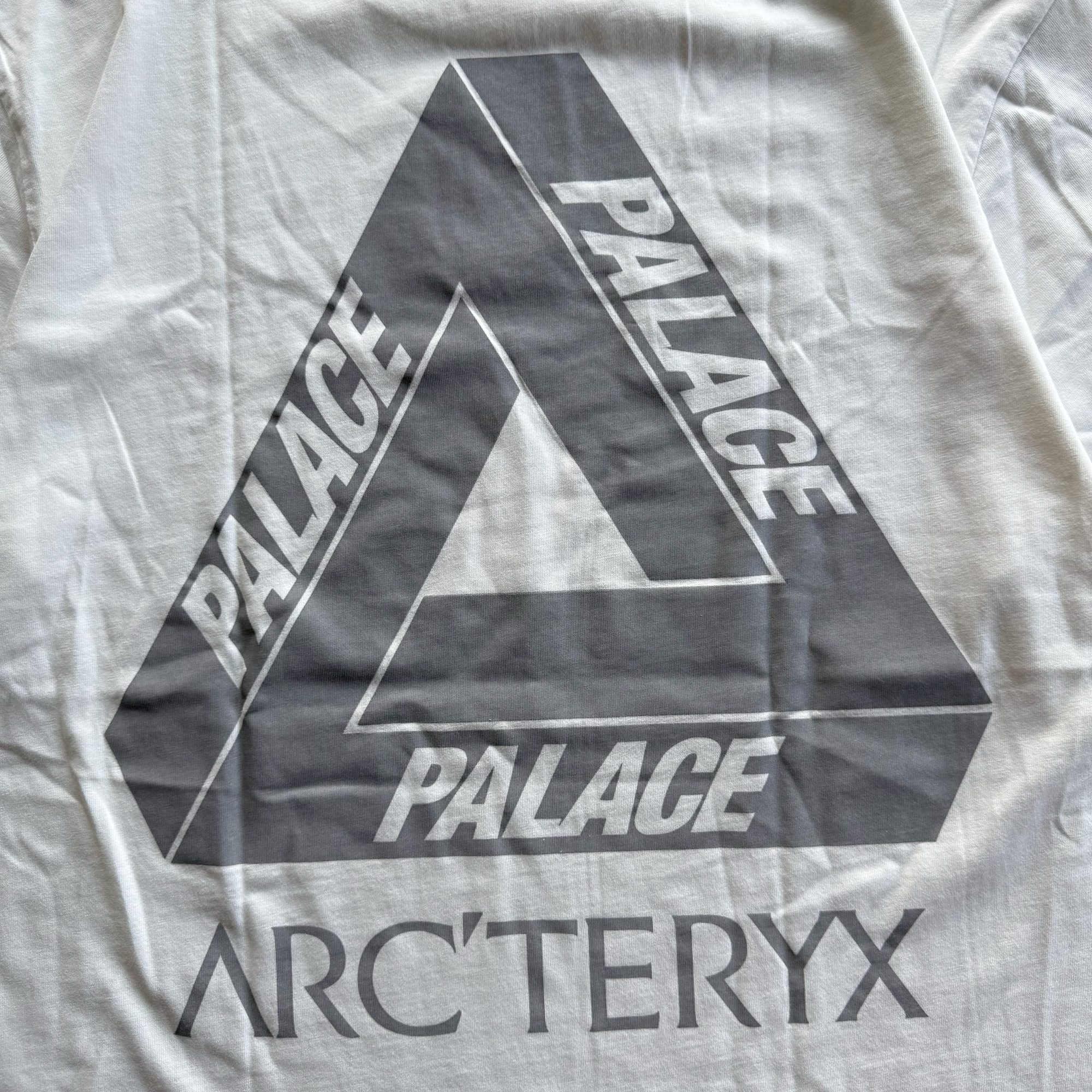 Palace x Arcteryx FW20 Tri Ferg Tee