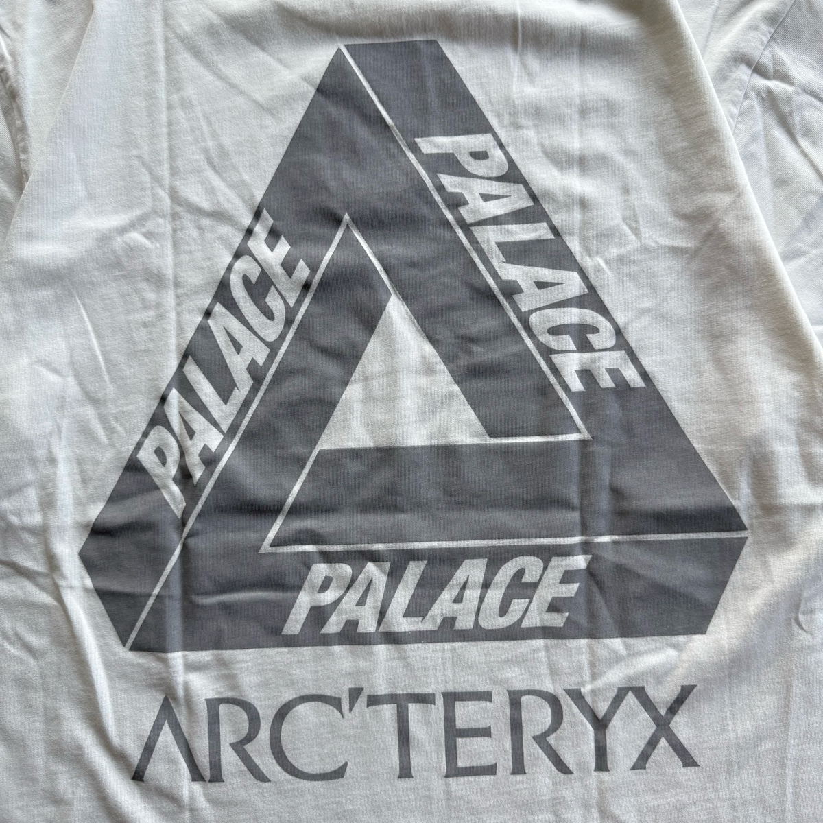 Palace x Arcteryx FW20 Tri Ferg Tee