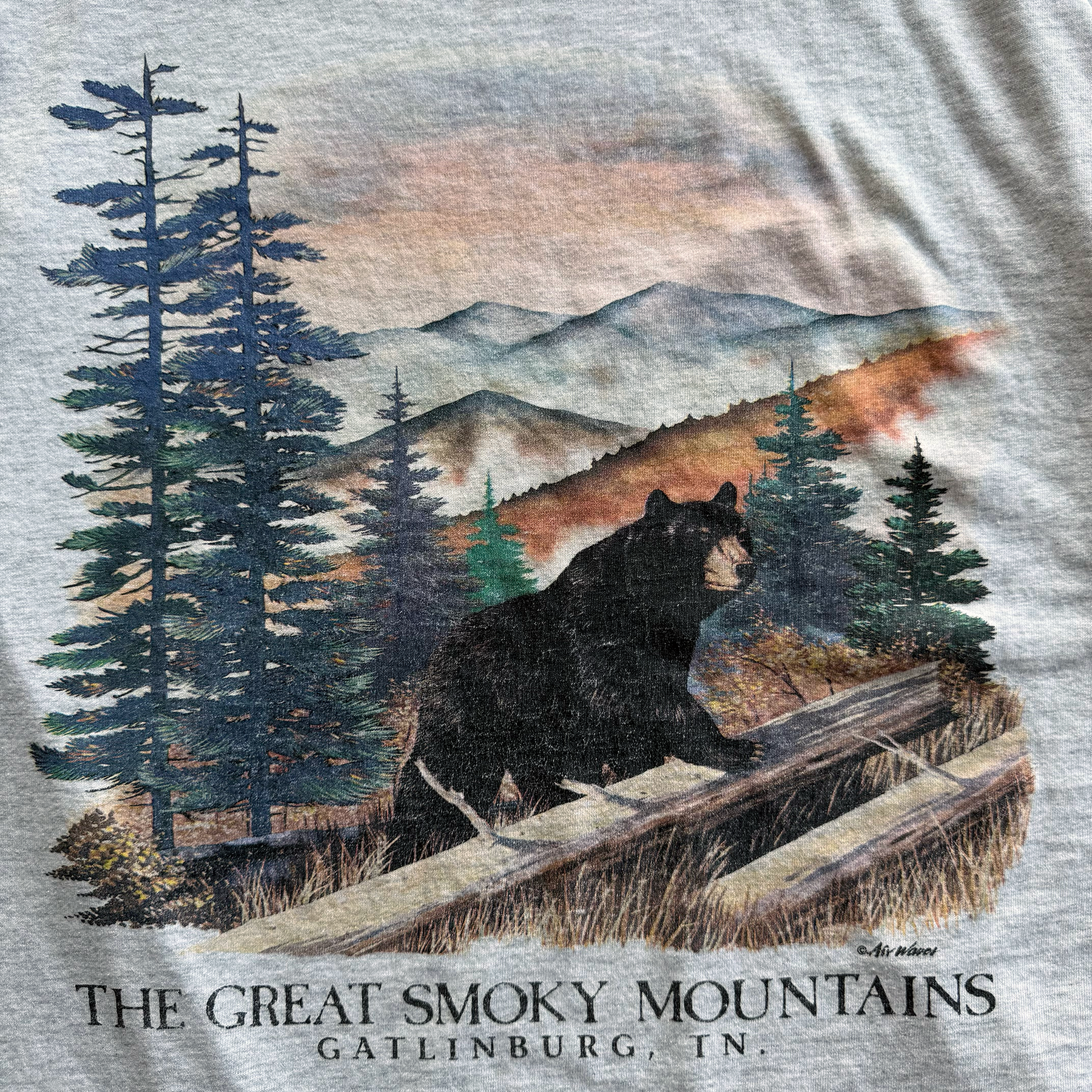 Vintage 1998 Great Smoky Mountains Black Bear Nature Tee