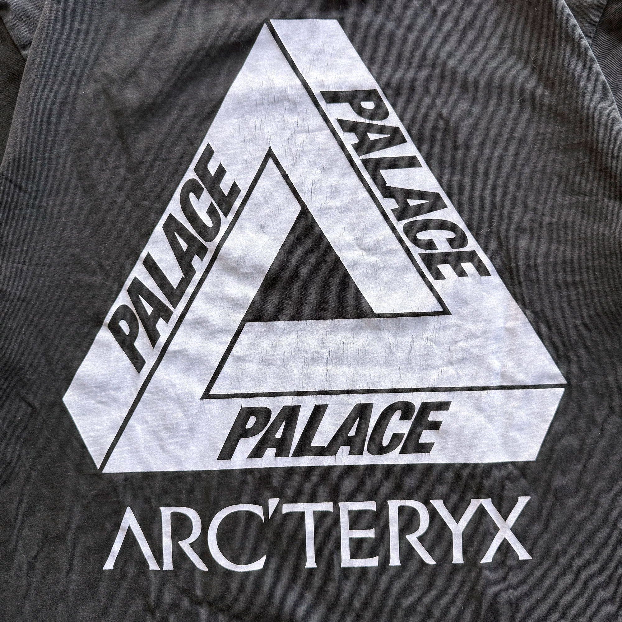 Palace x Arcteryx FW20 Tri Ferg Tee