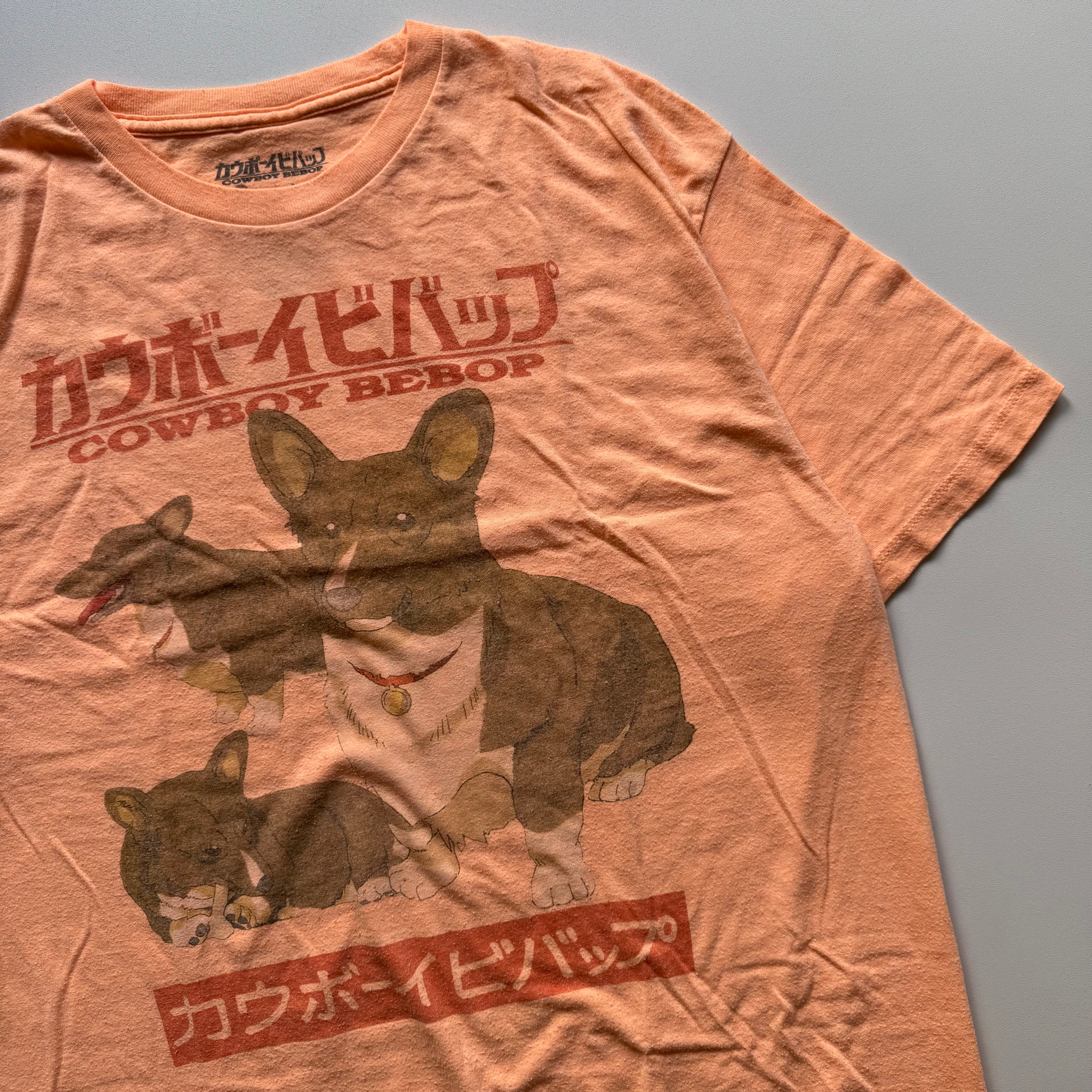 Vintage 2010s Cowboy Bebop Ein Corgi Sunrise Funimation Tee (Large)