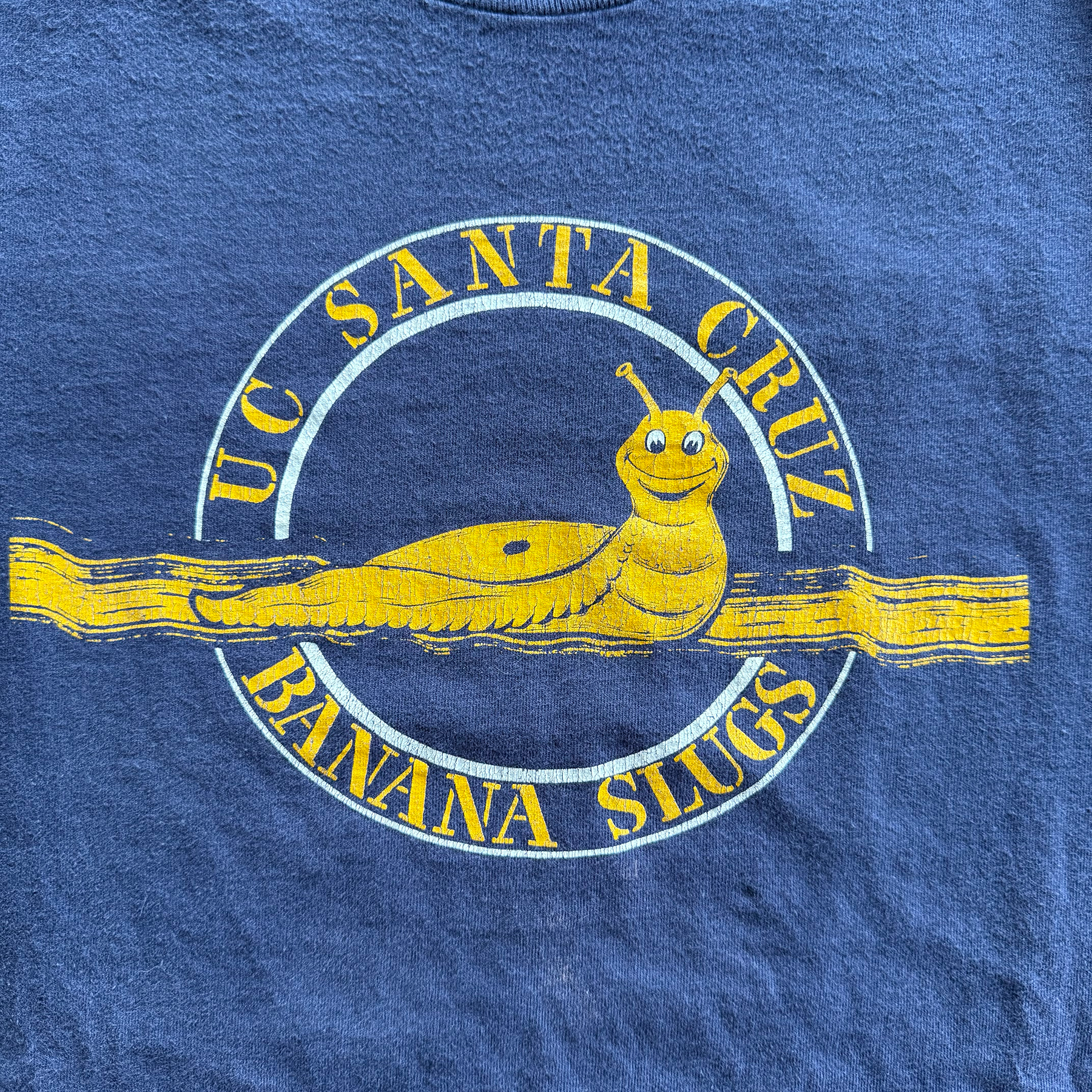 Vintage 2000s UC Santa Cruz Banana Slugs Slimed Tee