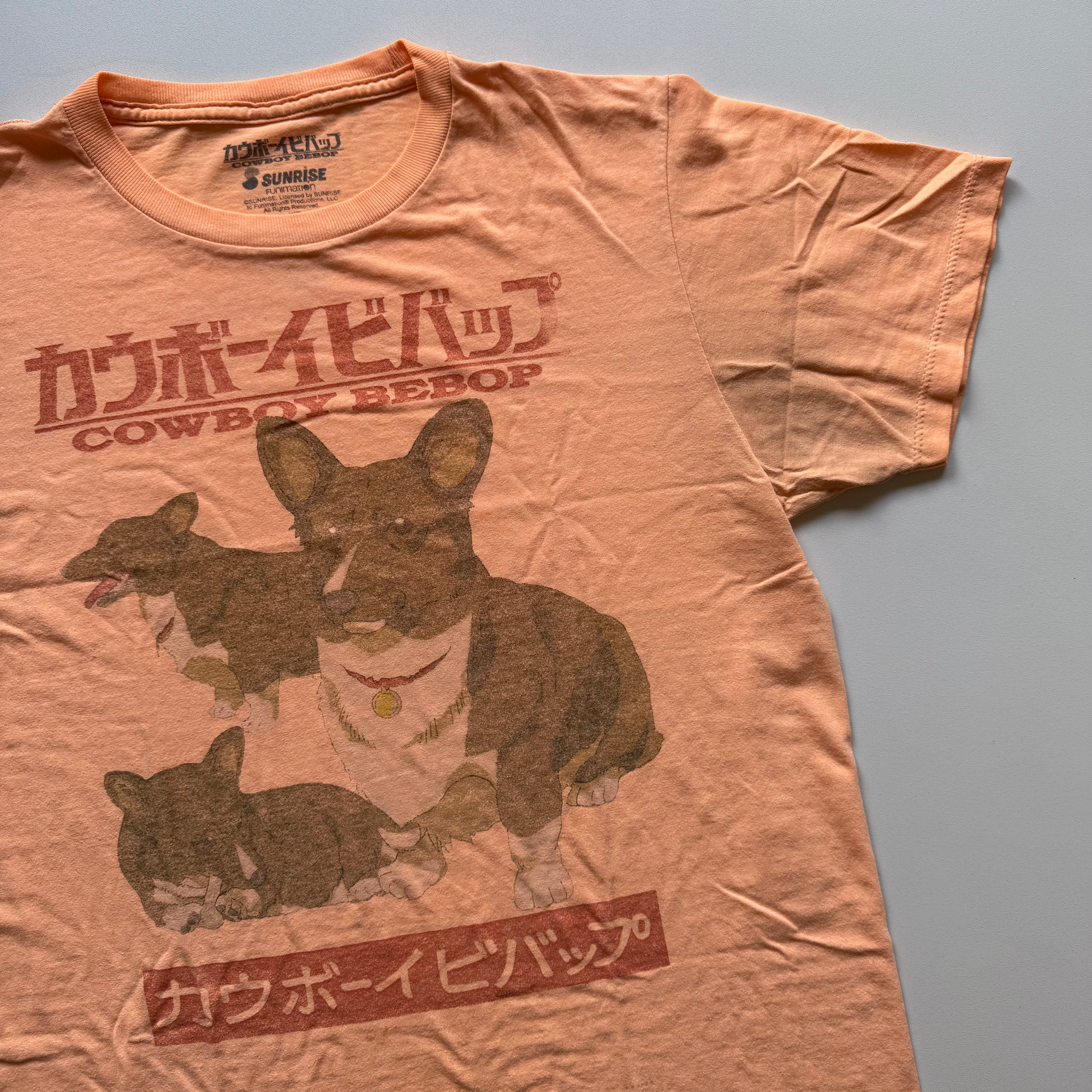 Vintage 2010s Cowboy Bebop Ein Corgi Sunrise Funimation Tee (Medium)