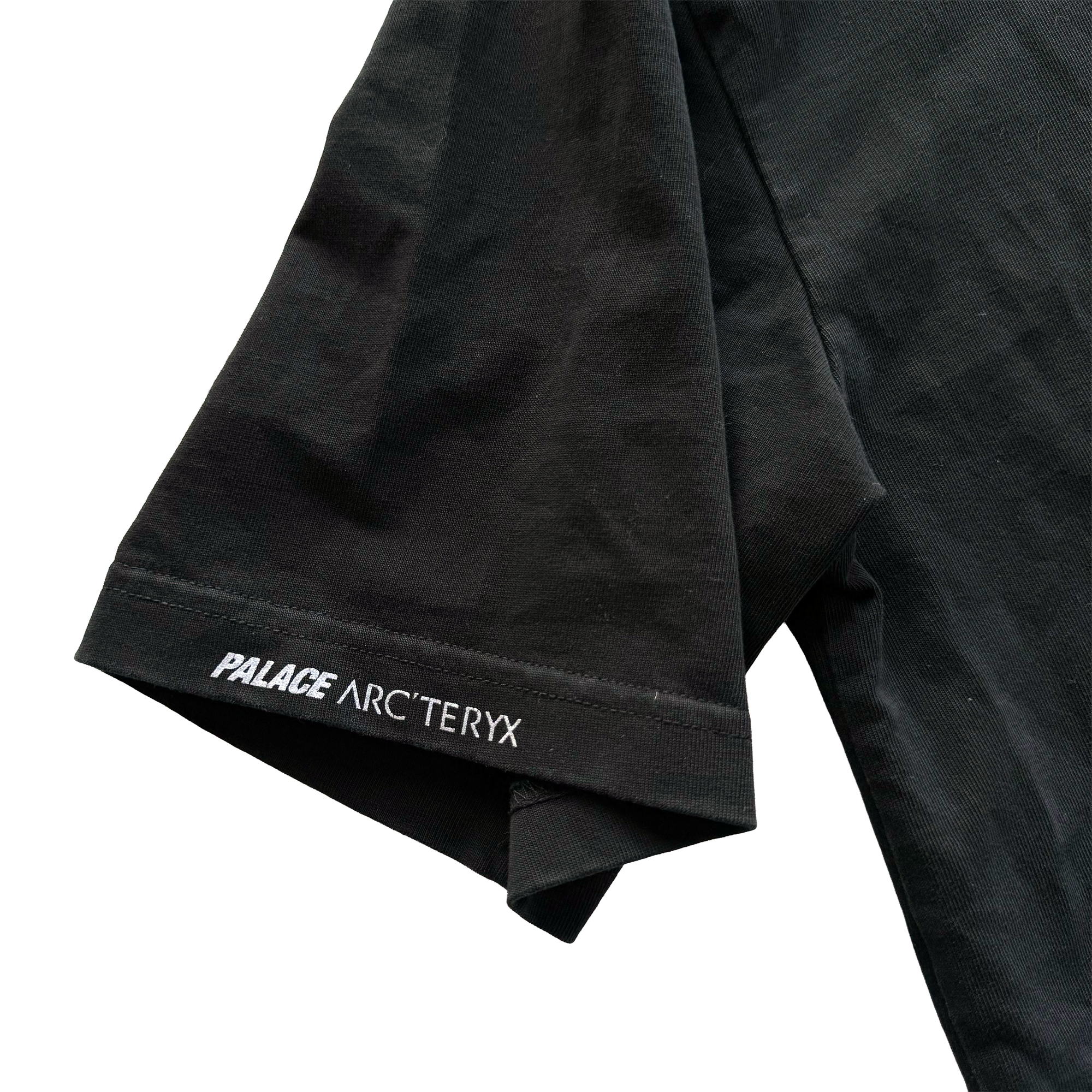 Palace x Arcteryx FW20 Tri Ferg Tee