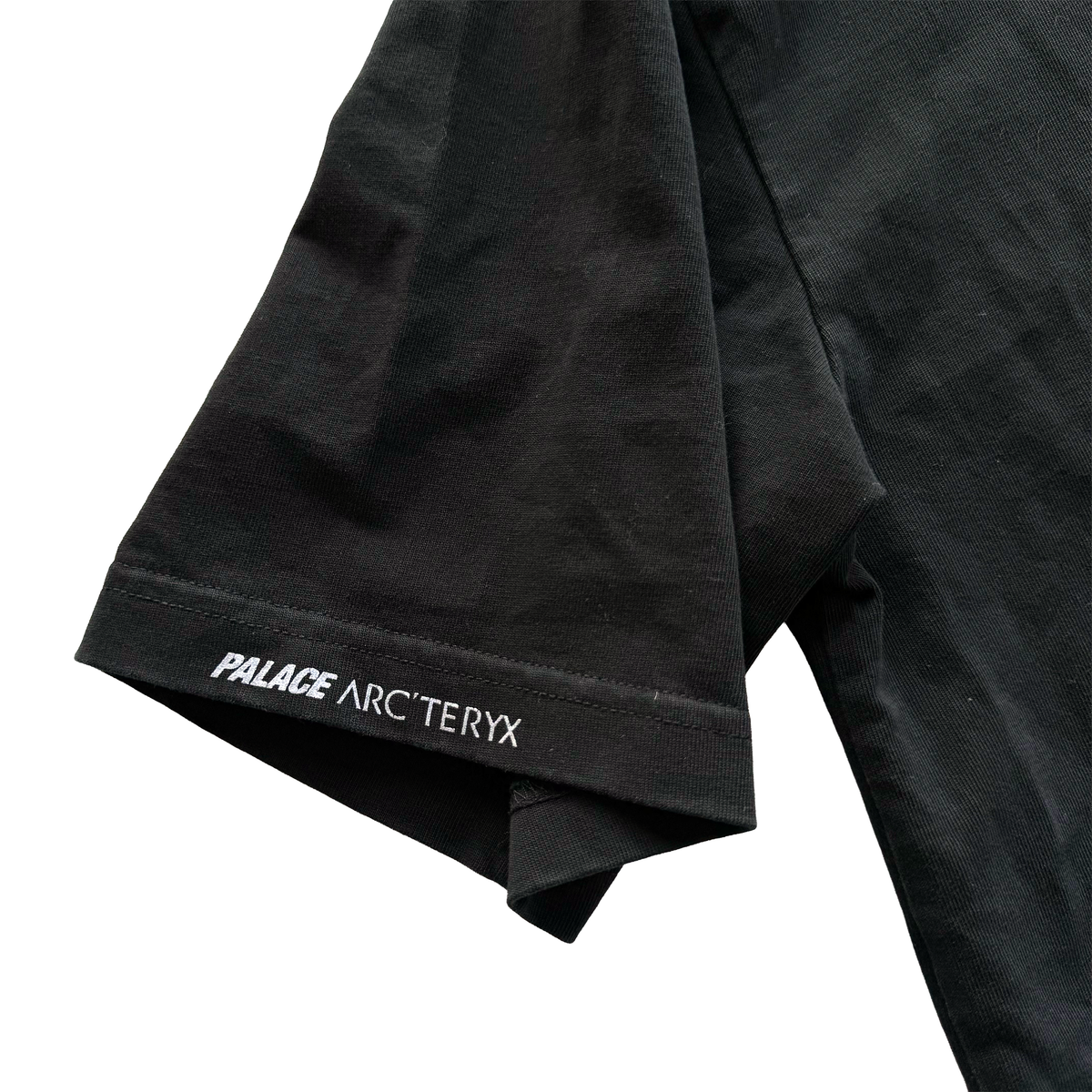 Palace x Arcteryx FW20 Tri Ferg Tee